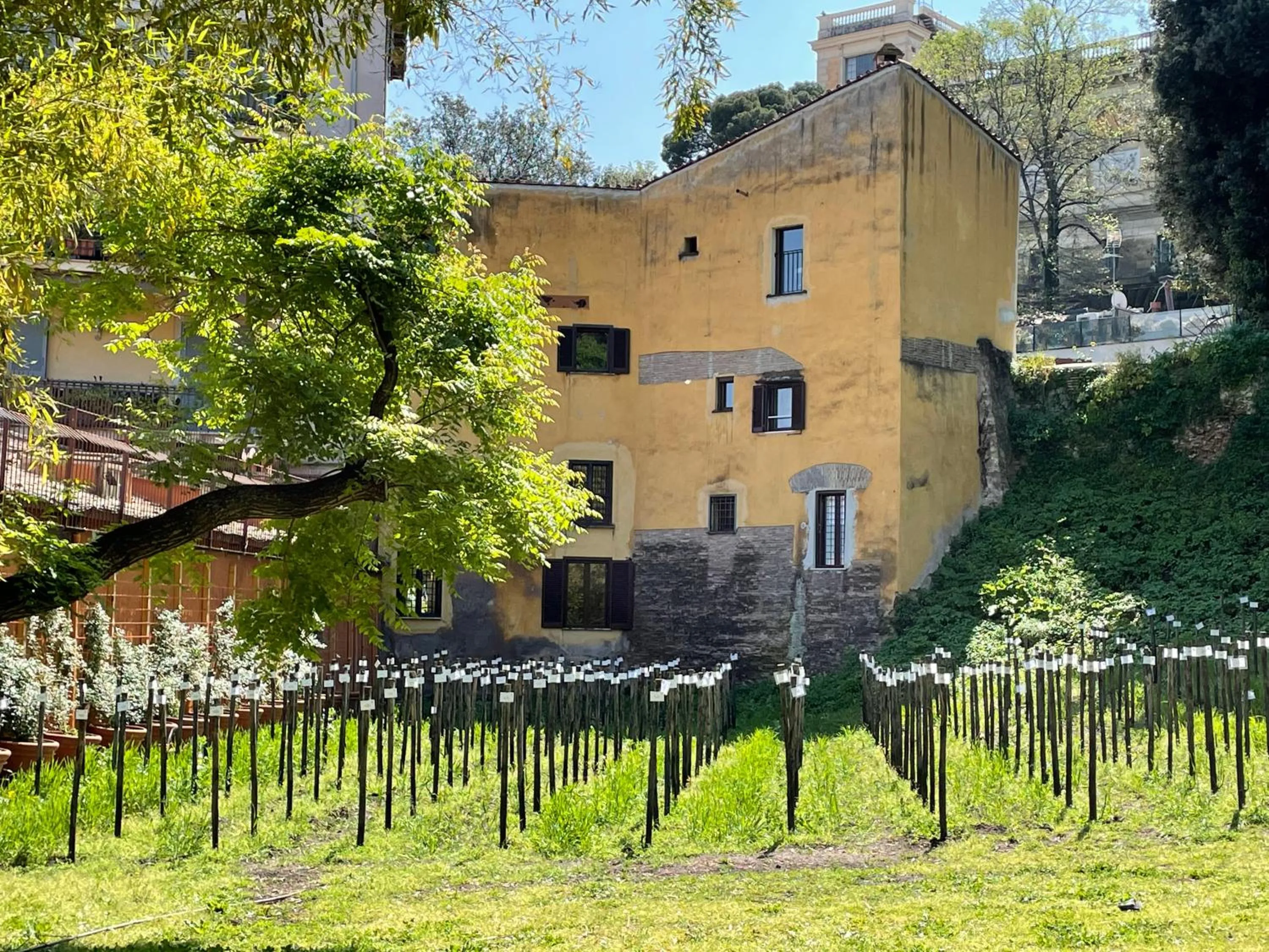 Il mulino di Trastevere - My Extra Home