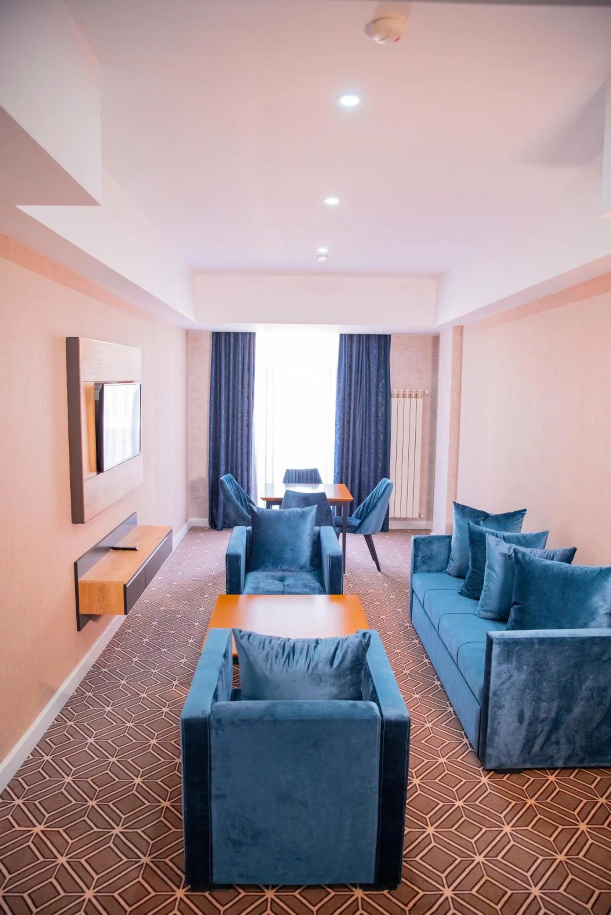 TV and multimedia in Arion Hotel Baku