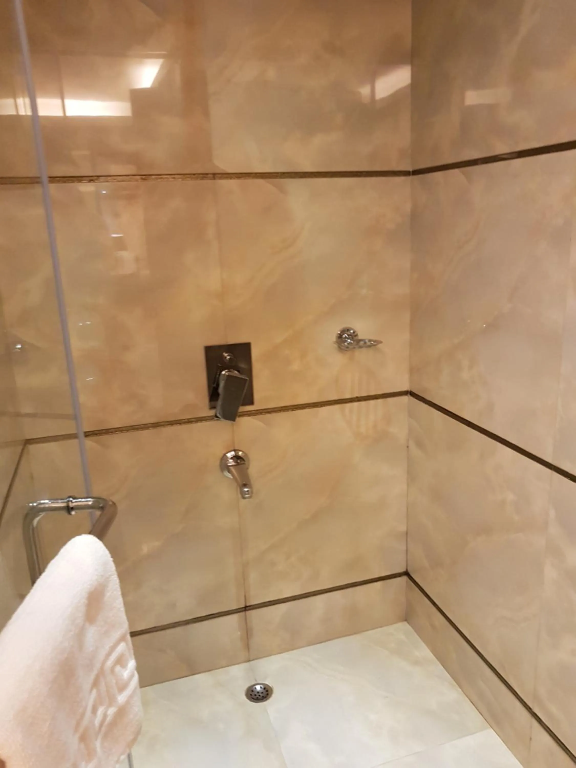 Shower in Hotel Polo Towers Shillong
