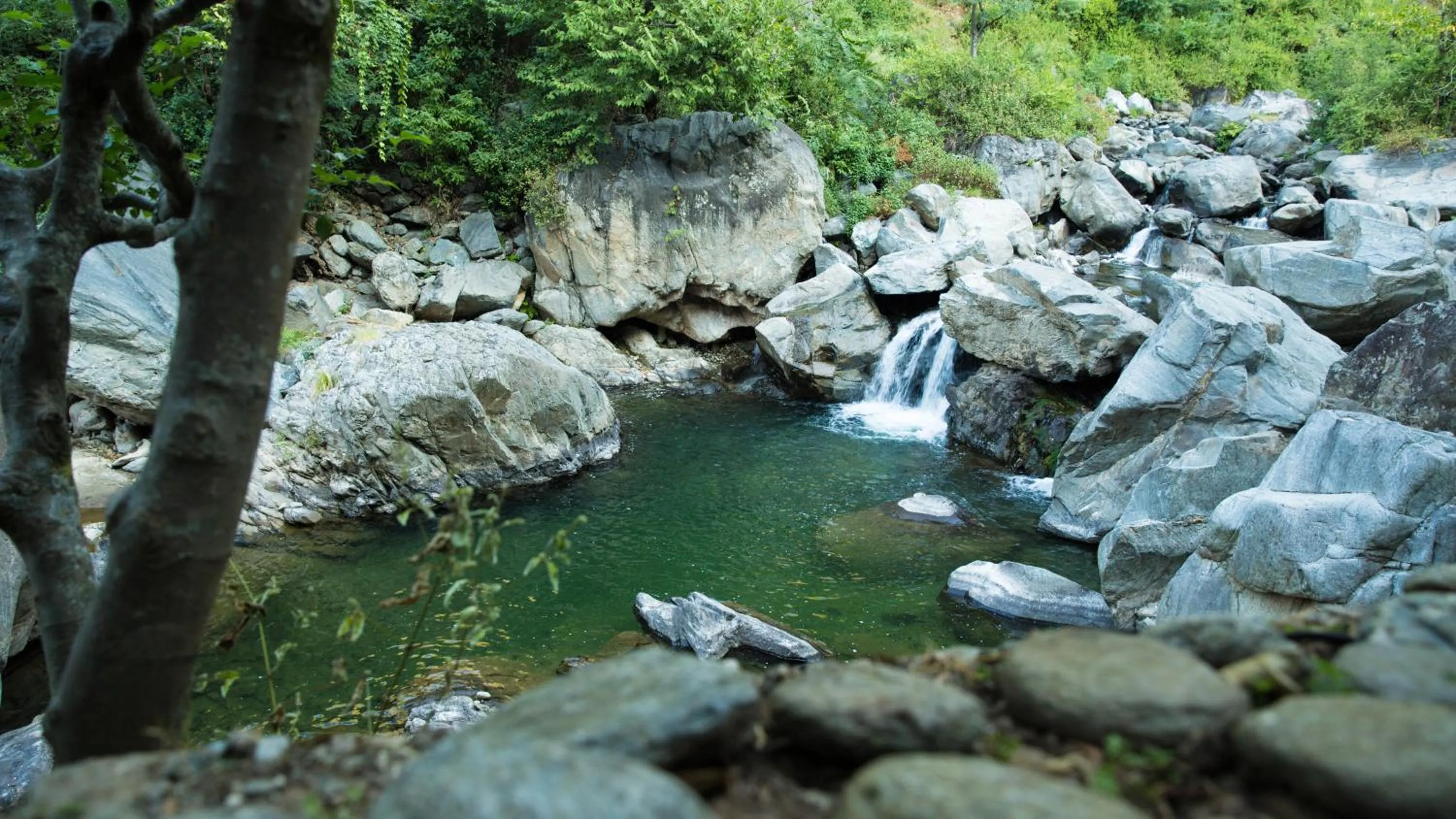River view in Soulitude by the Riverside