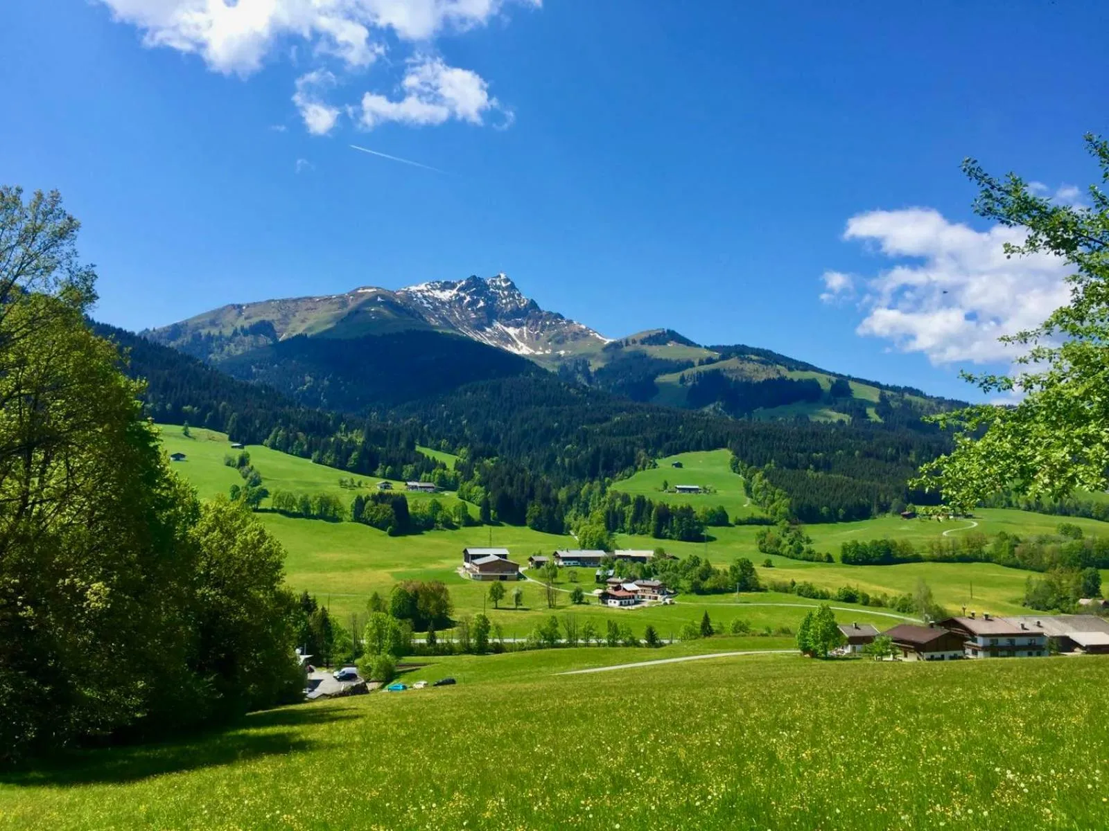 Natural landscape in Sunnseit Lodge - Kitzbüheler Alpen