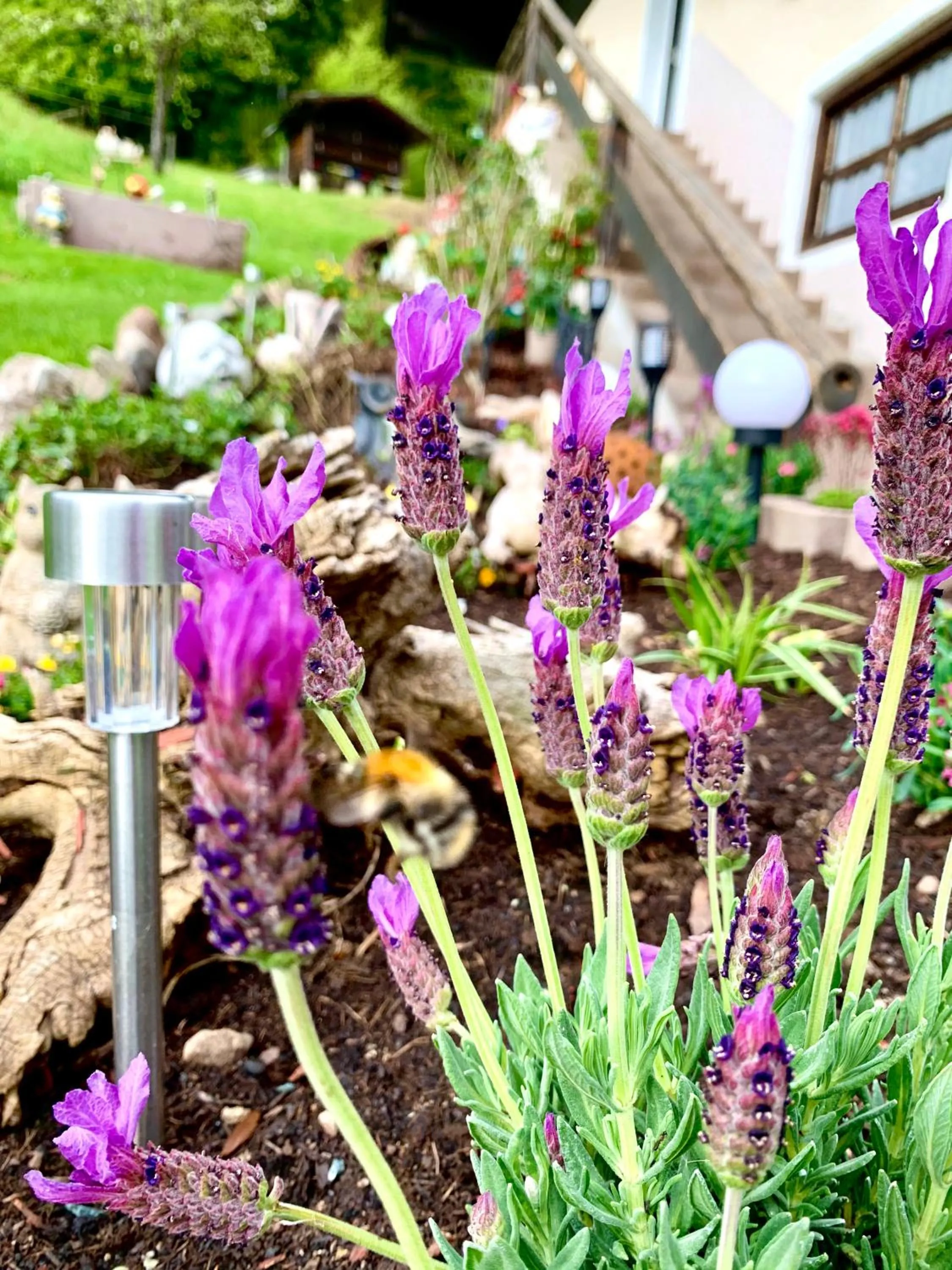 Garden in Sunnseit Lodge - Kitzbüheler Alpen