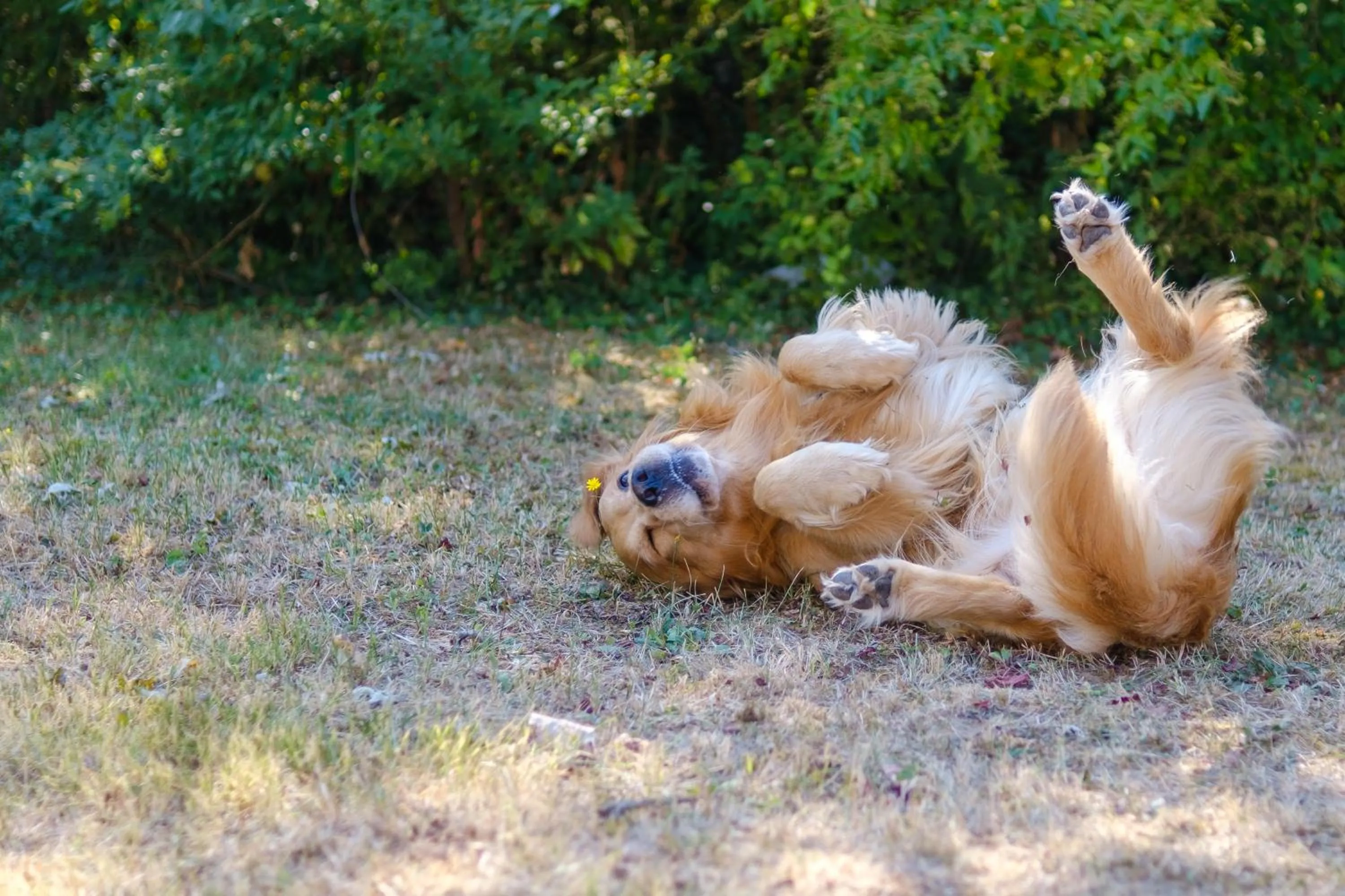 Hotel Ristorante Brusco
