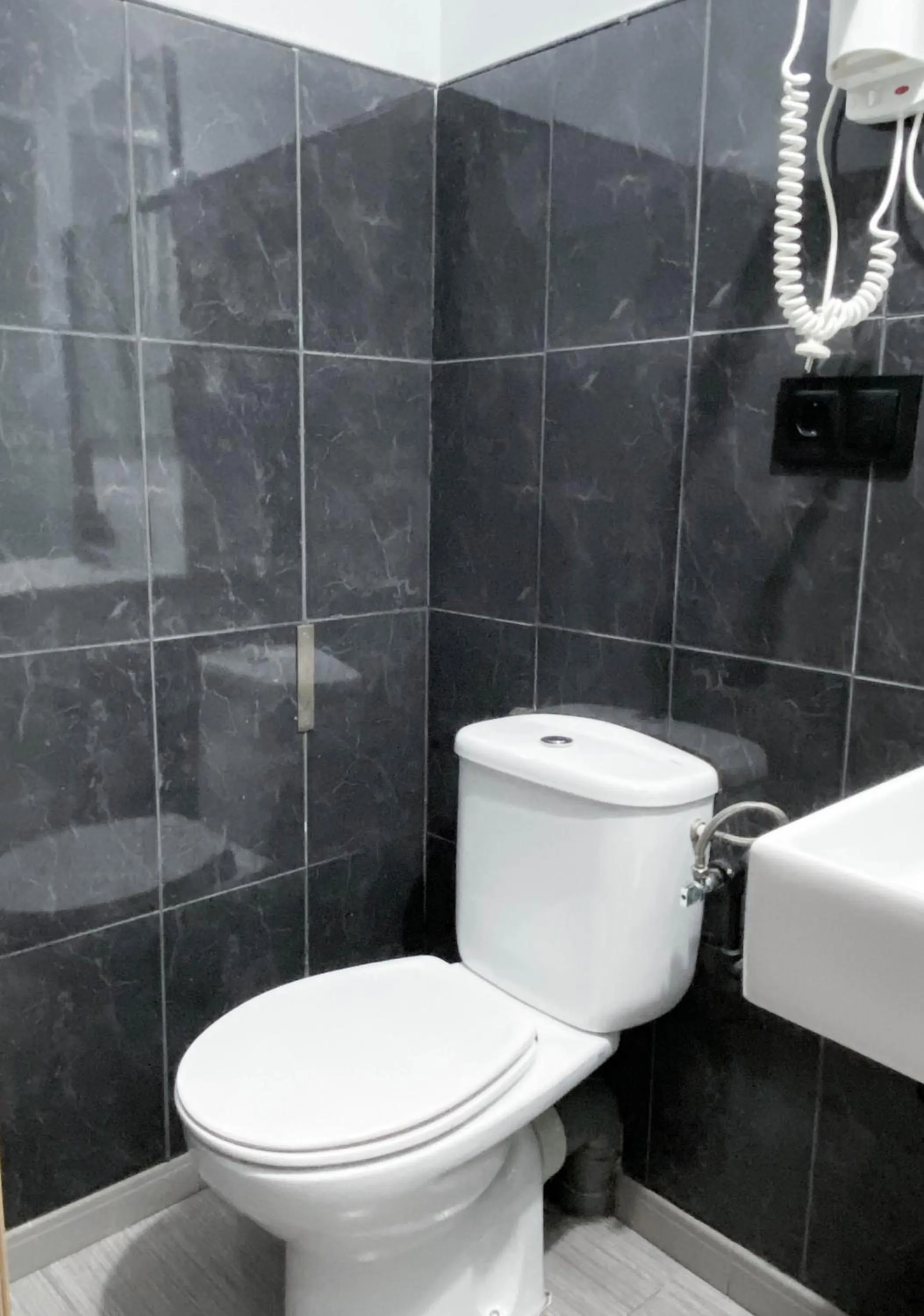 Toilet in Hostal Andrea