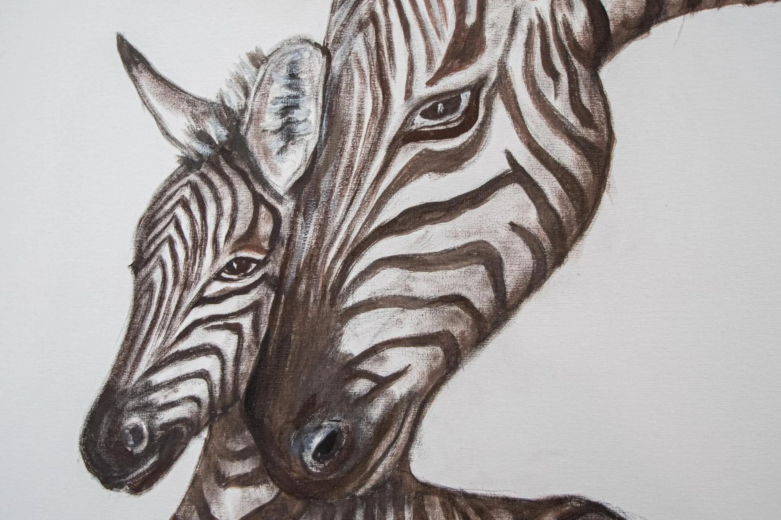Apartamento Animalia