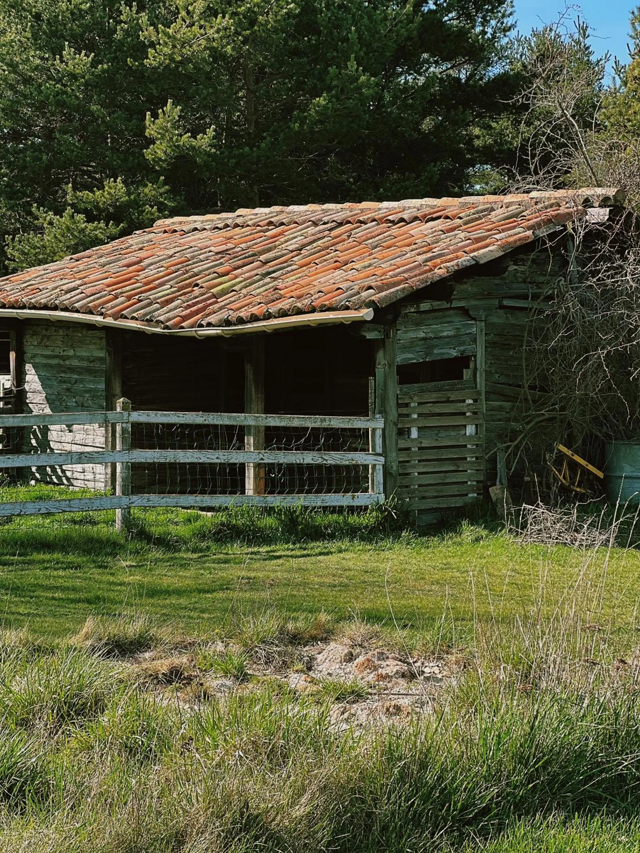 Garden in La Bastide des Pins