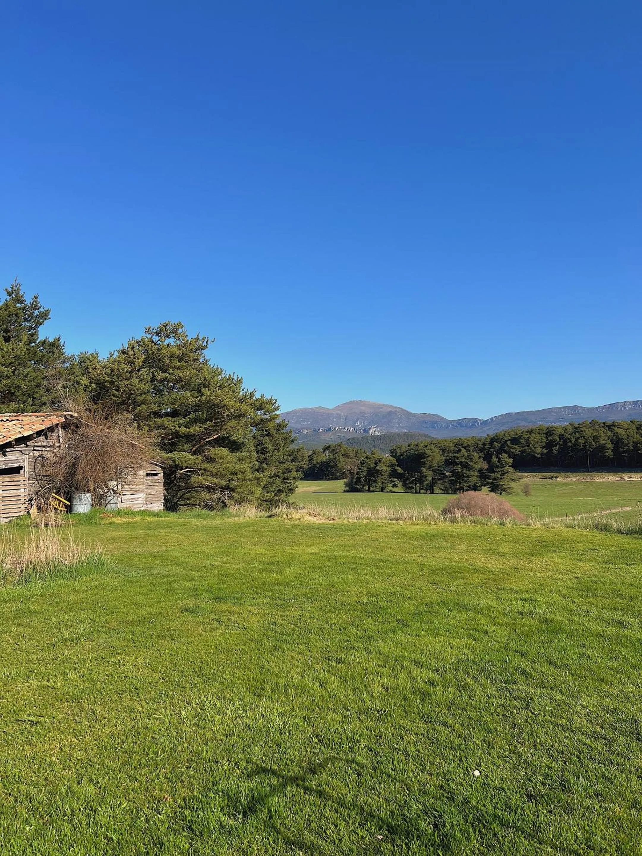 Garden in La Bastide des Pins