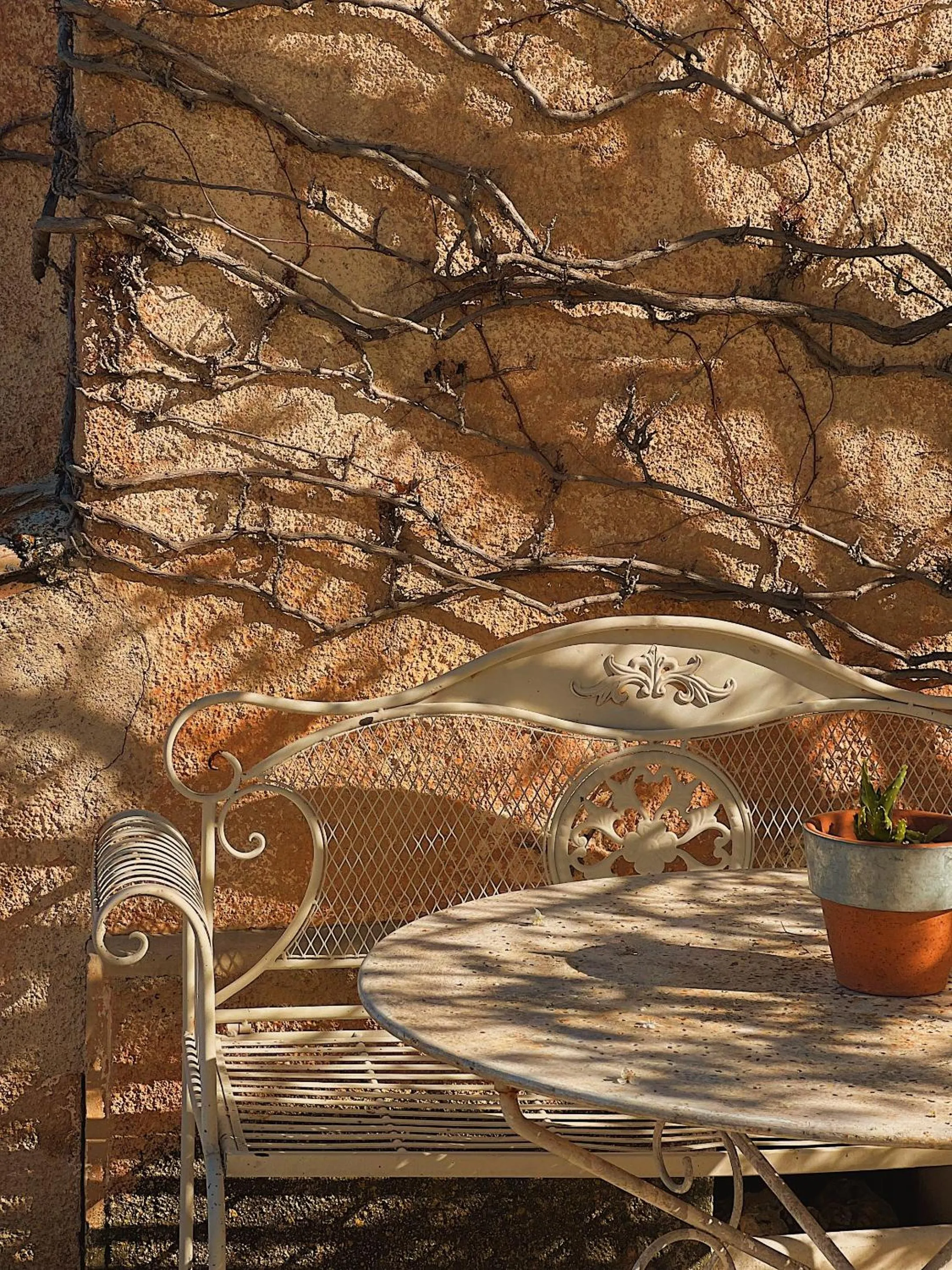 Garden in La Bastide des Pins