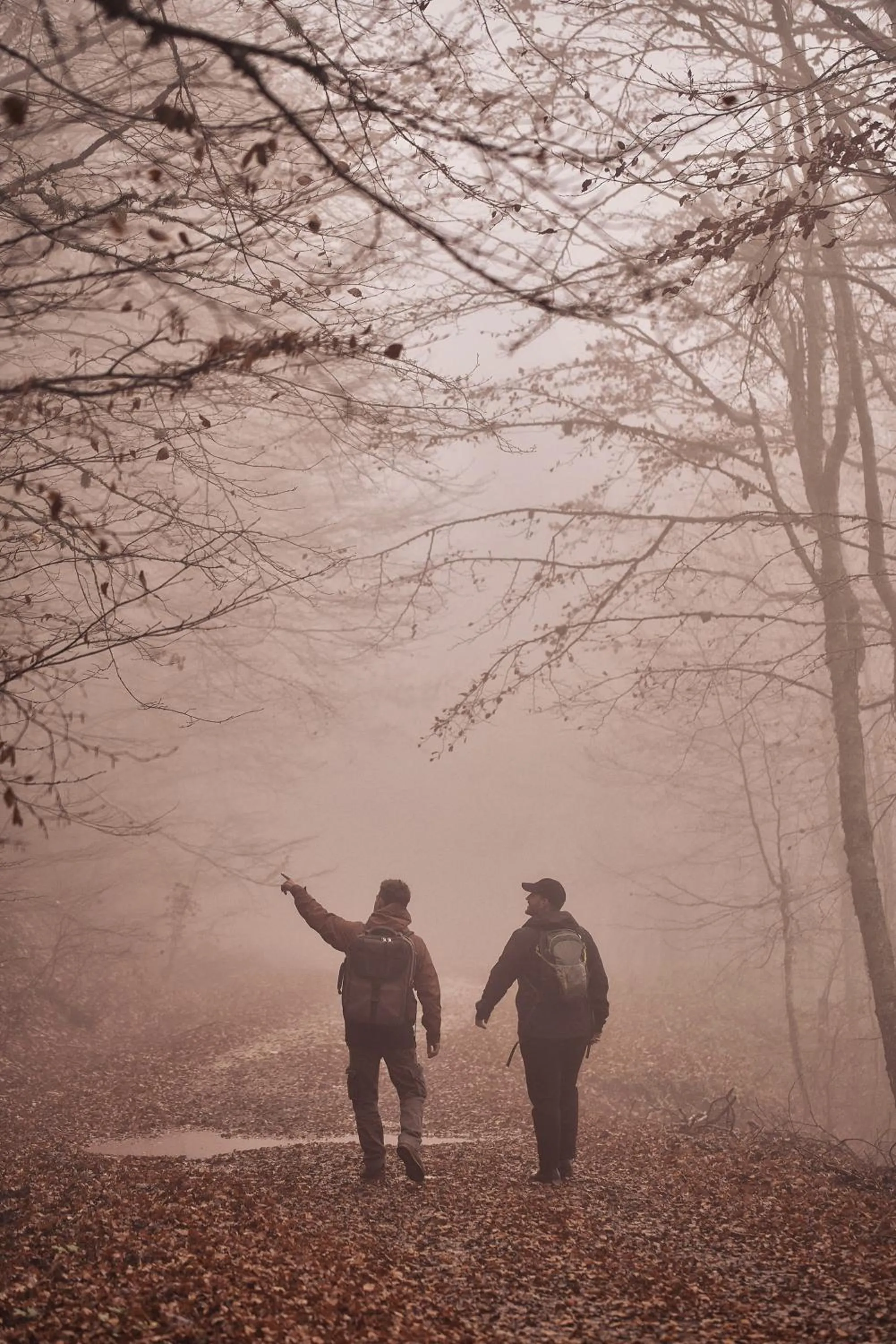 Grand Forest Metsovo - Leading Hotels of the World