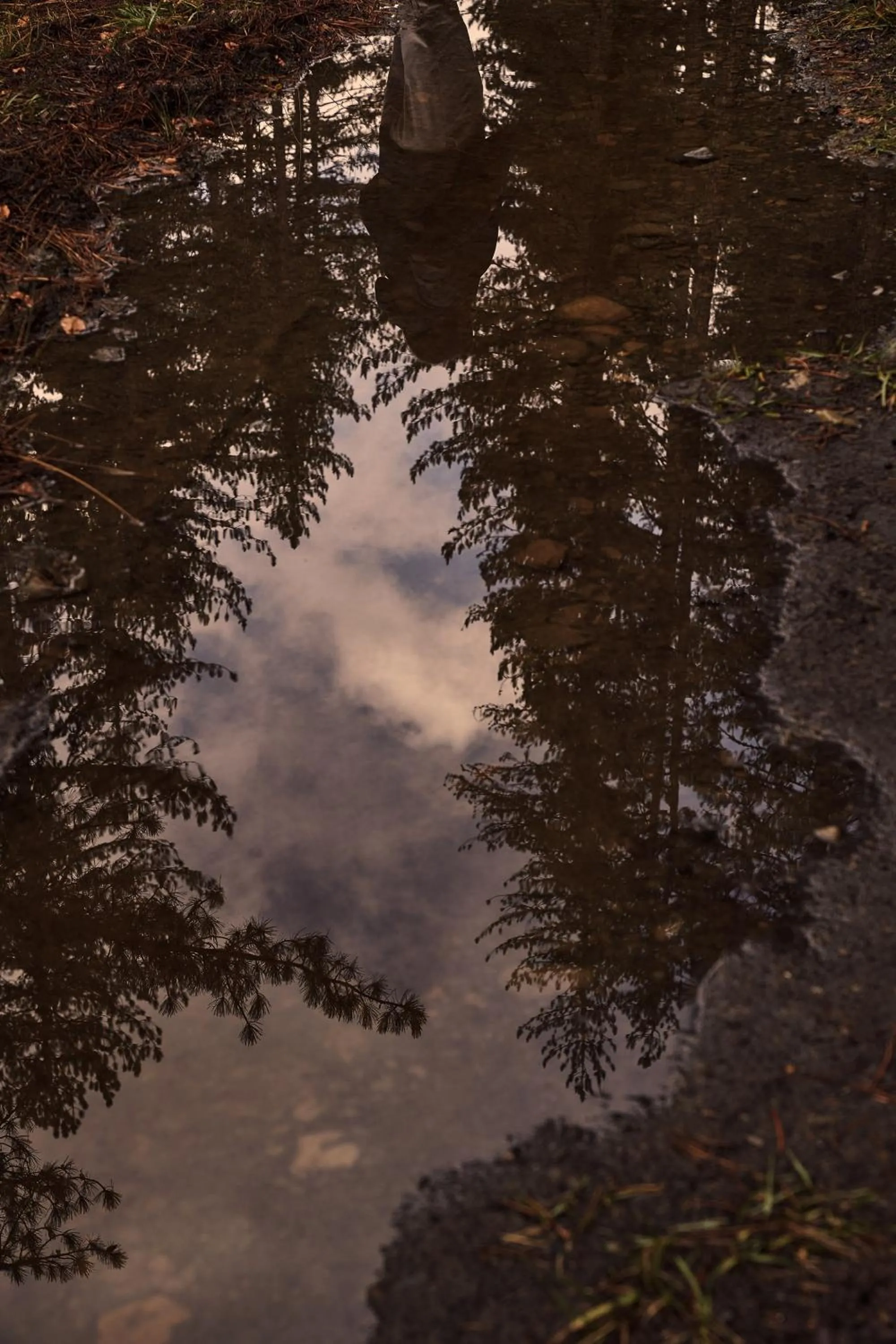 Grand Forest Metsovo - Leading Hotels of the World