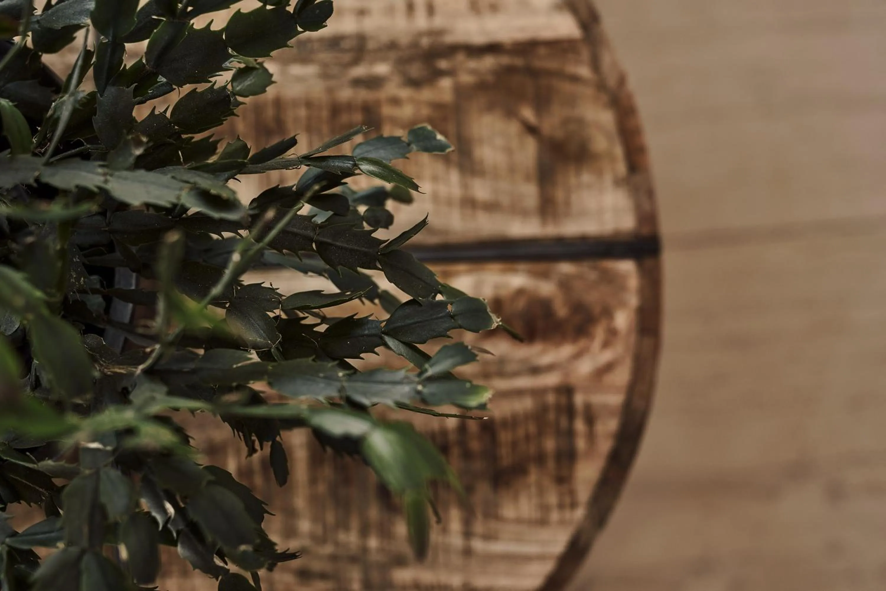 Grand Forest Metsovo - Leading Hotels of the World