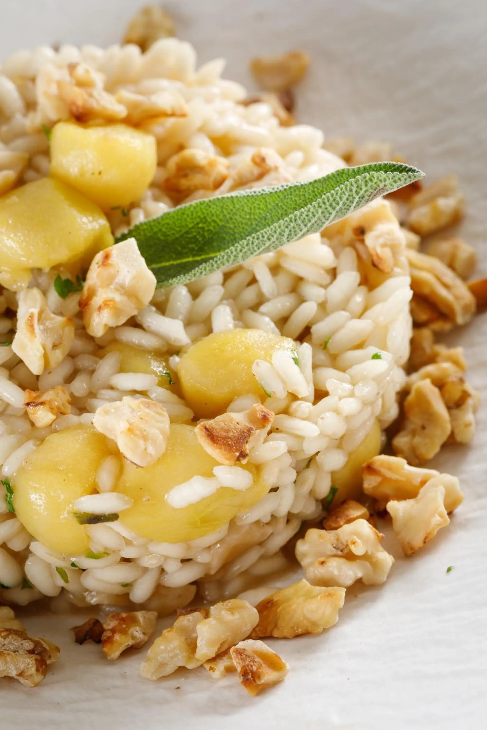 Restaurant/places to eat in Heritage hotel Santa Lucia