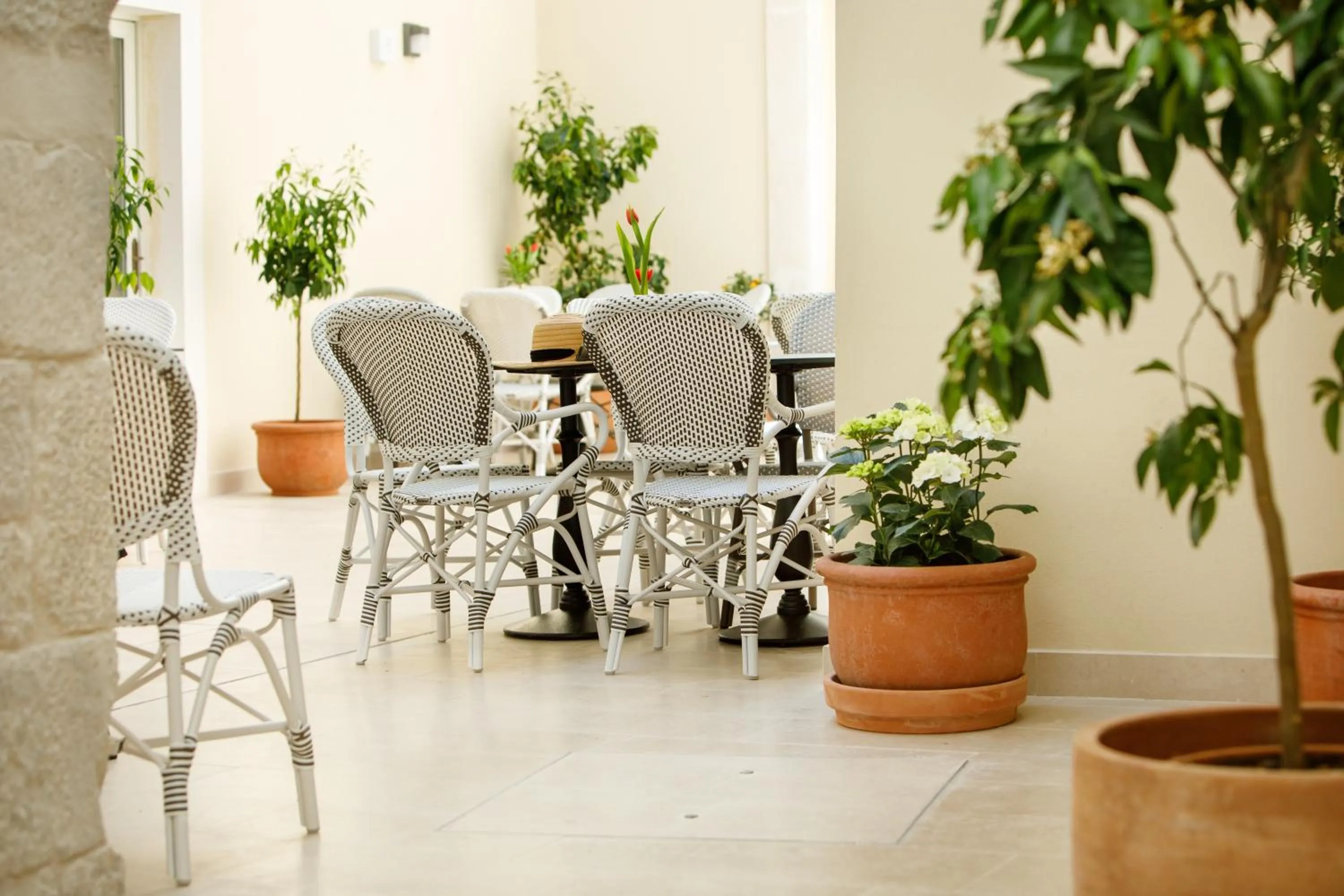 Restaurant/places to eat in Heritage hotel Santa Lucia