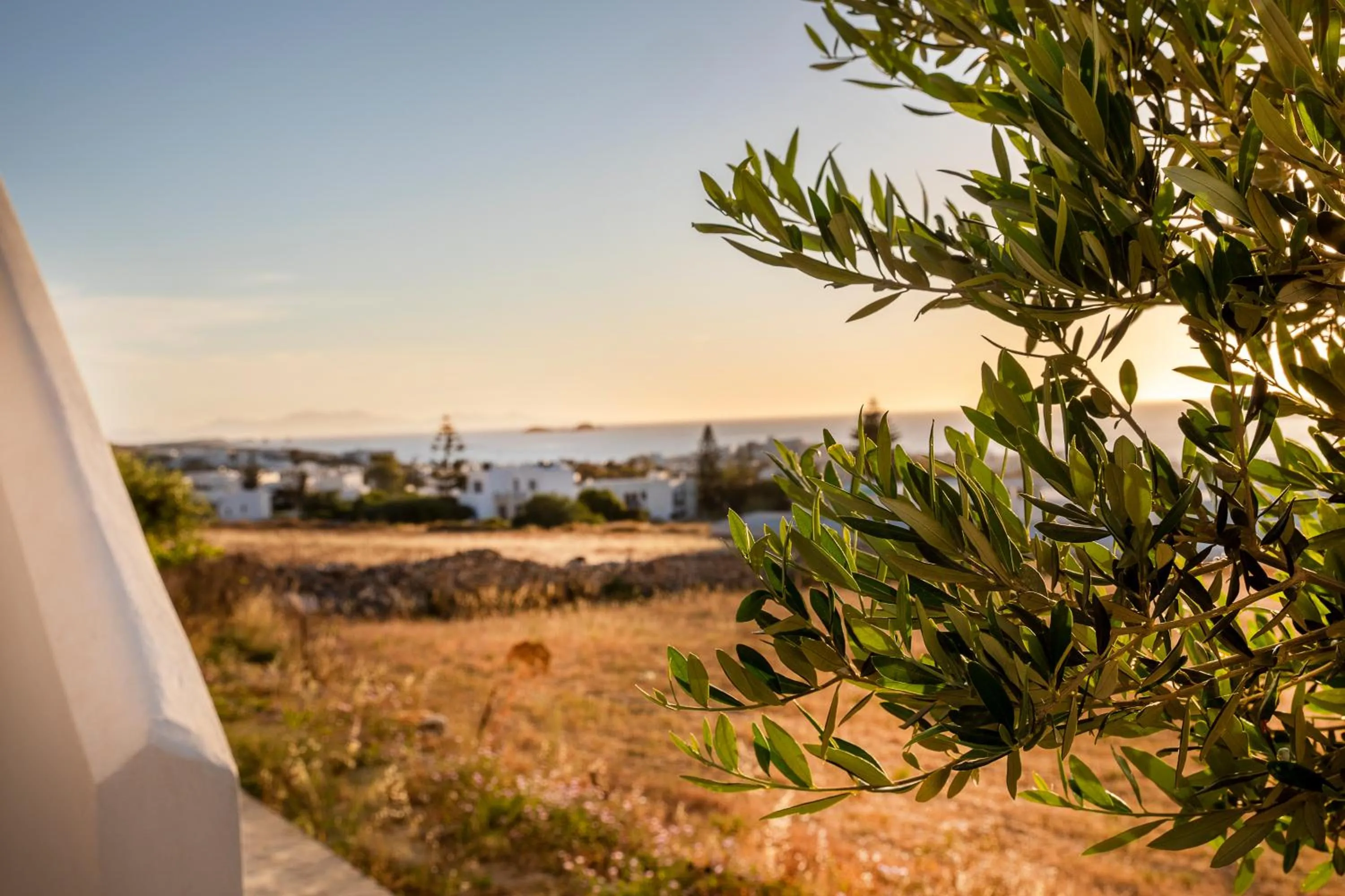 Garden in Crystal Dreams