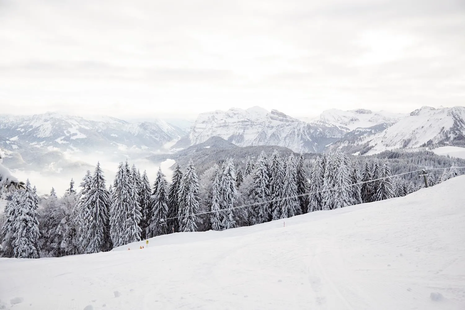 Skiing, Winter in Gasthof Hirschen Schwarzenberg
