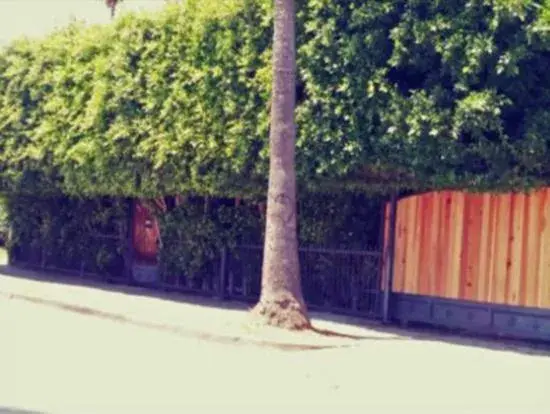 Apartment in Corporate Manor Apartment in Corporate Manor