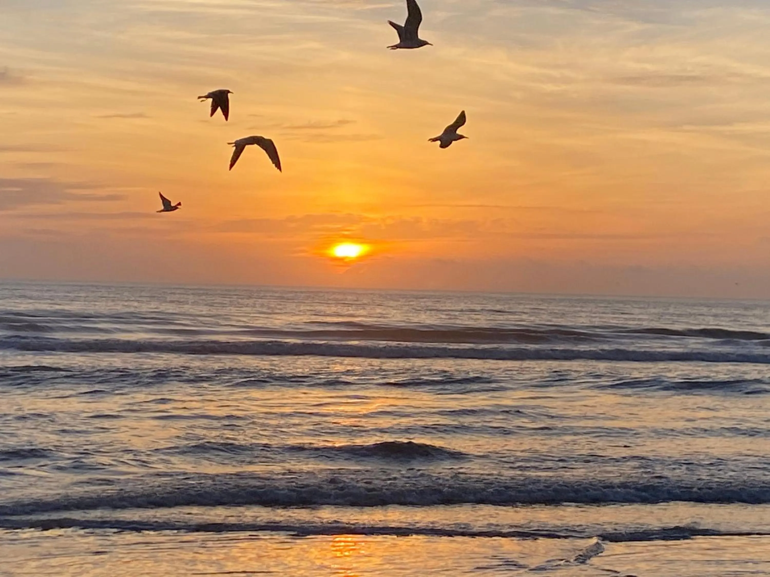 Beach in I Need A Vacay Now! Remodeled Studio