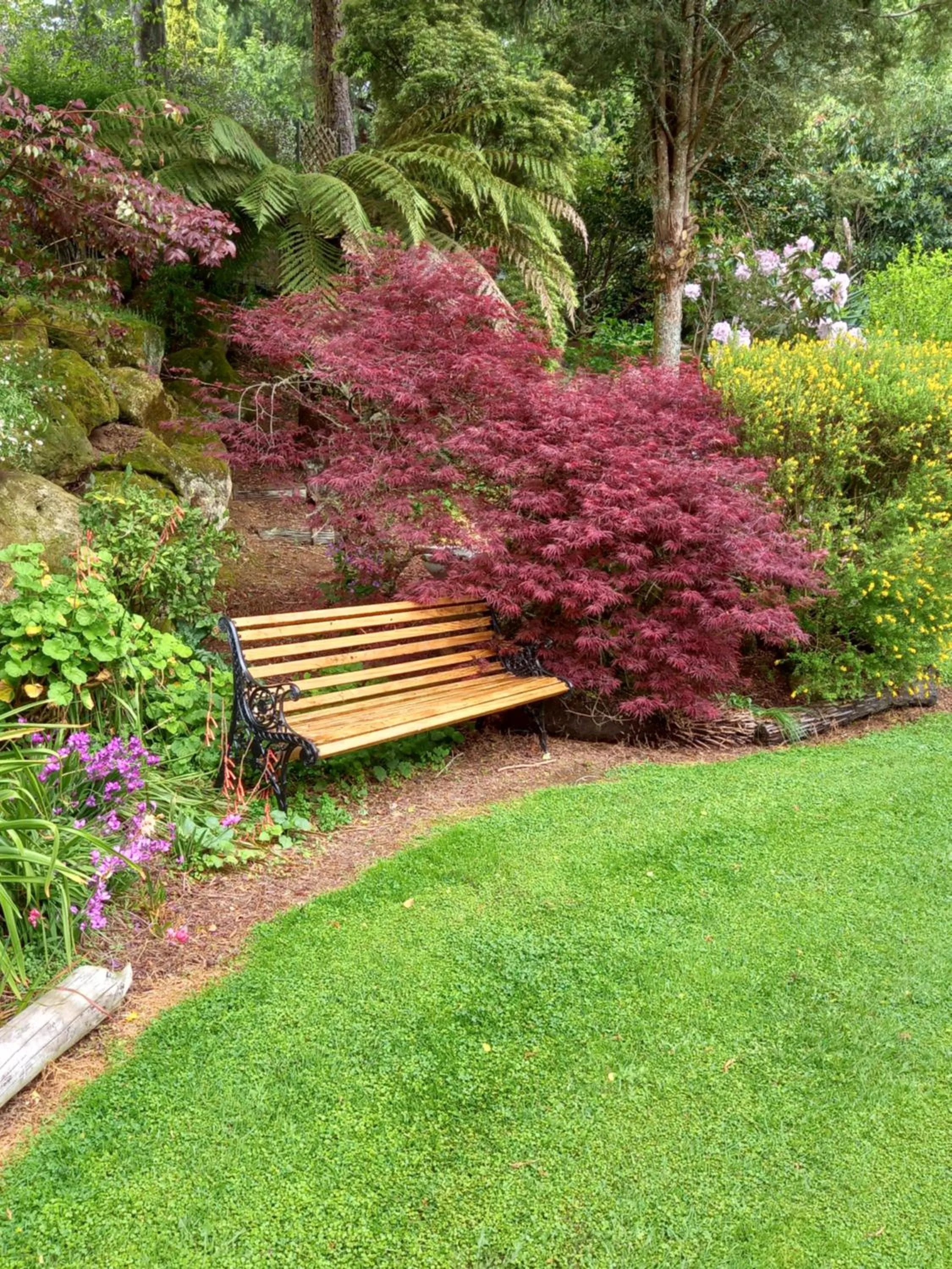 Spring in Aramatai Gardens