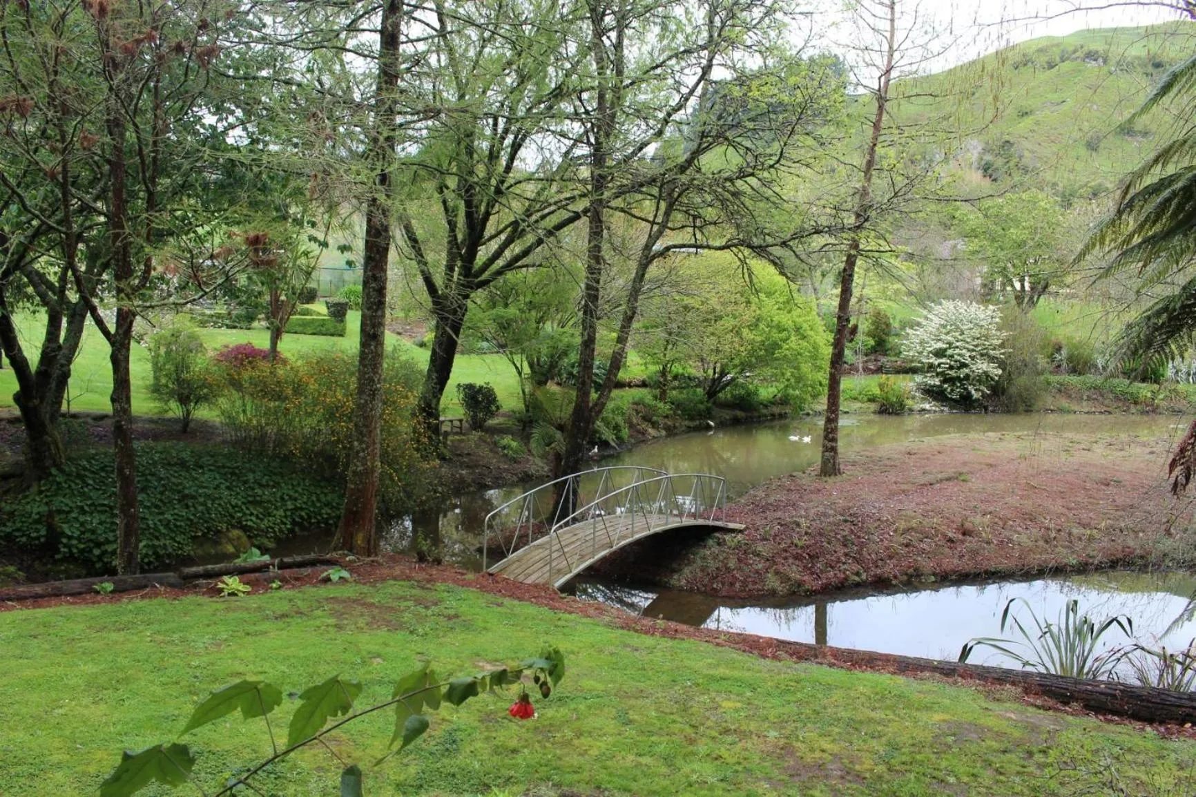 Garden in Aramatai Gardens