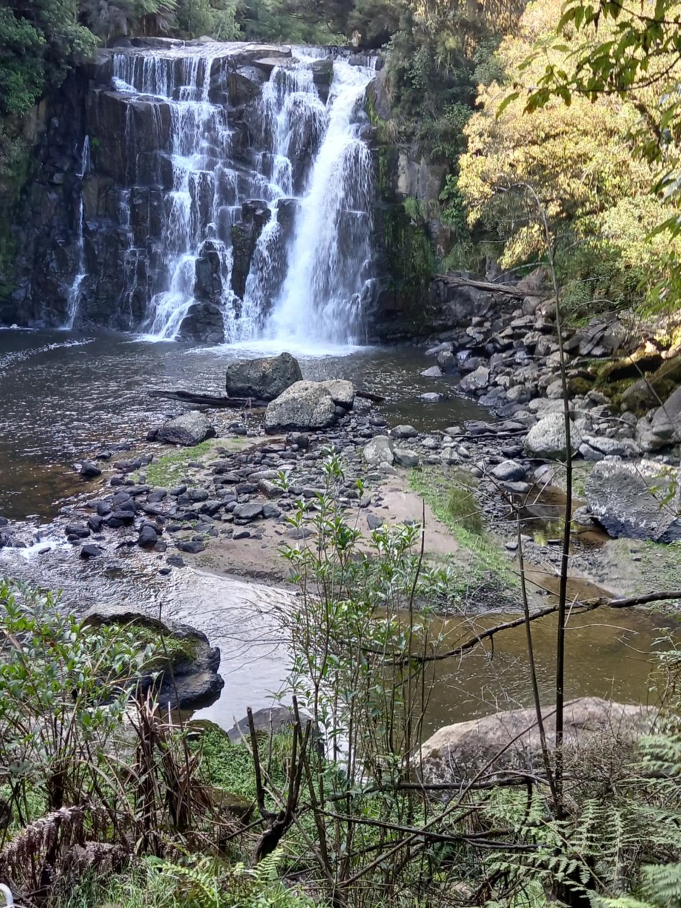 Natural landscape in Aramatai Gardens