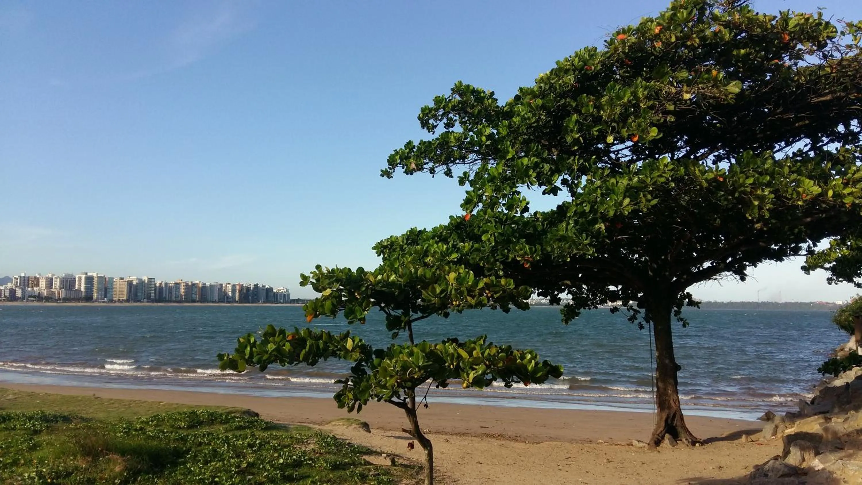 Beach in Onça da Praia Hostel