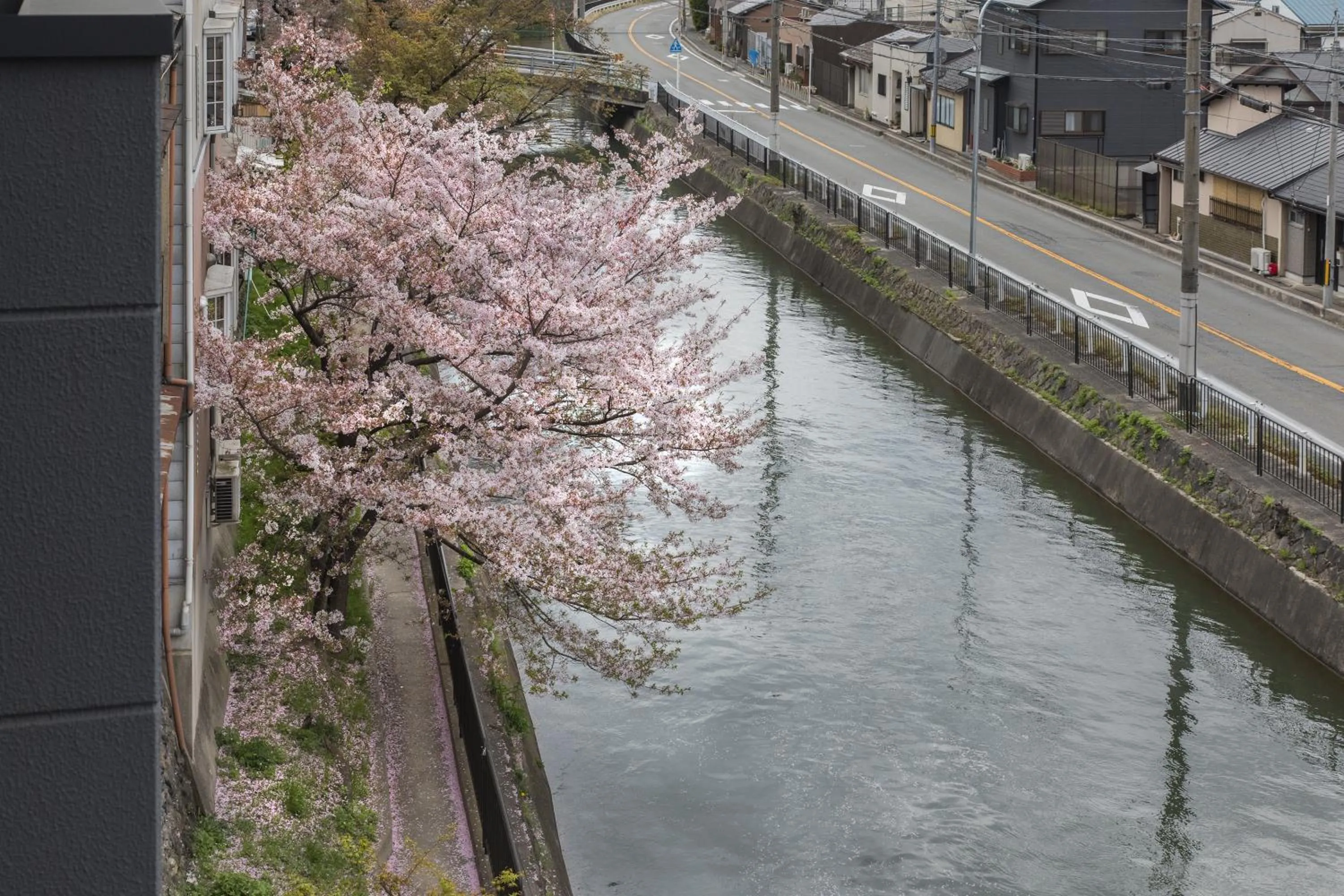 River view in Tofukuji Riverside