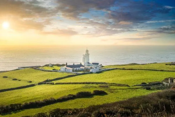 Neighbourhood in The White Lion