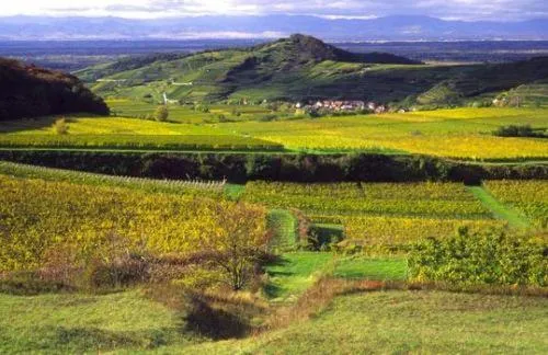 Day in Landgasthof zum Lamm