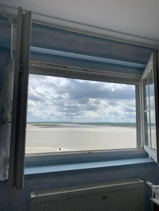 Les Mouettes Blessées