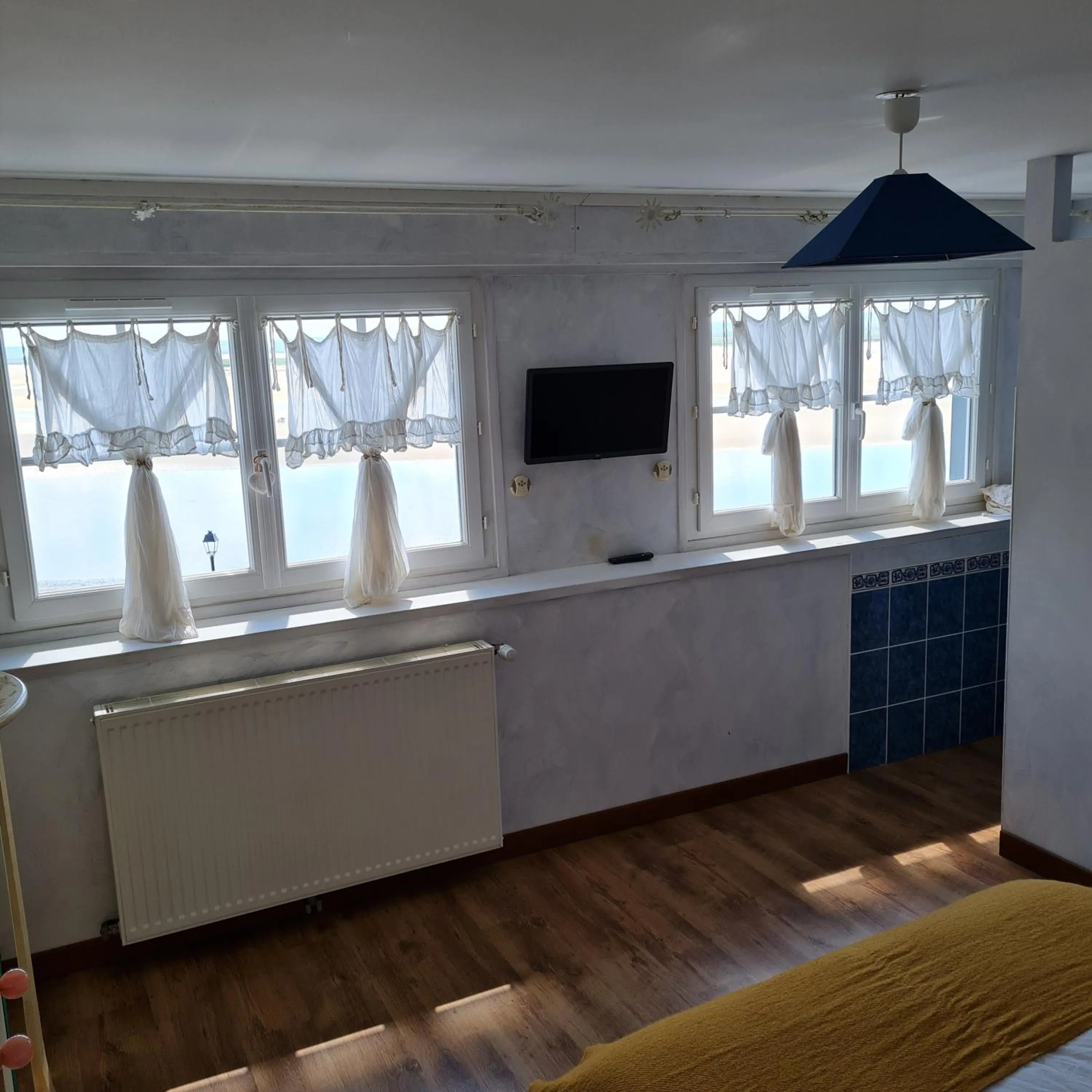 Les Mouettes Blessées