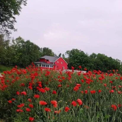 Au Hameau de l'Ecluse proche Europa-Park