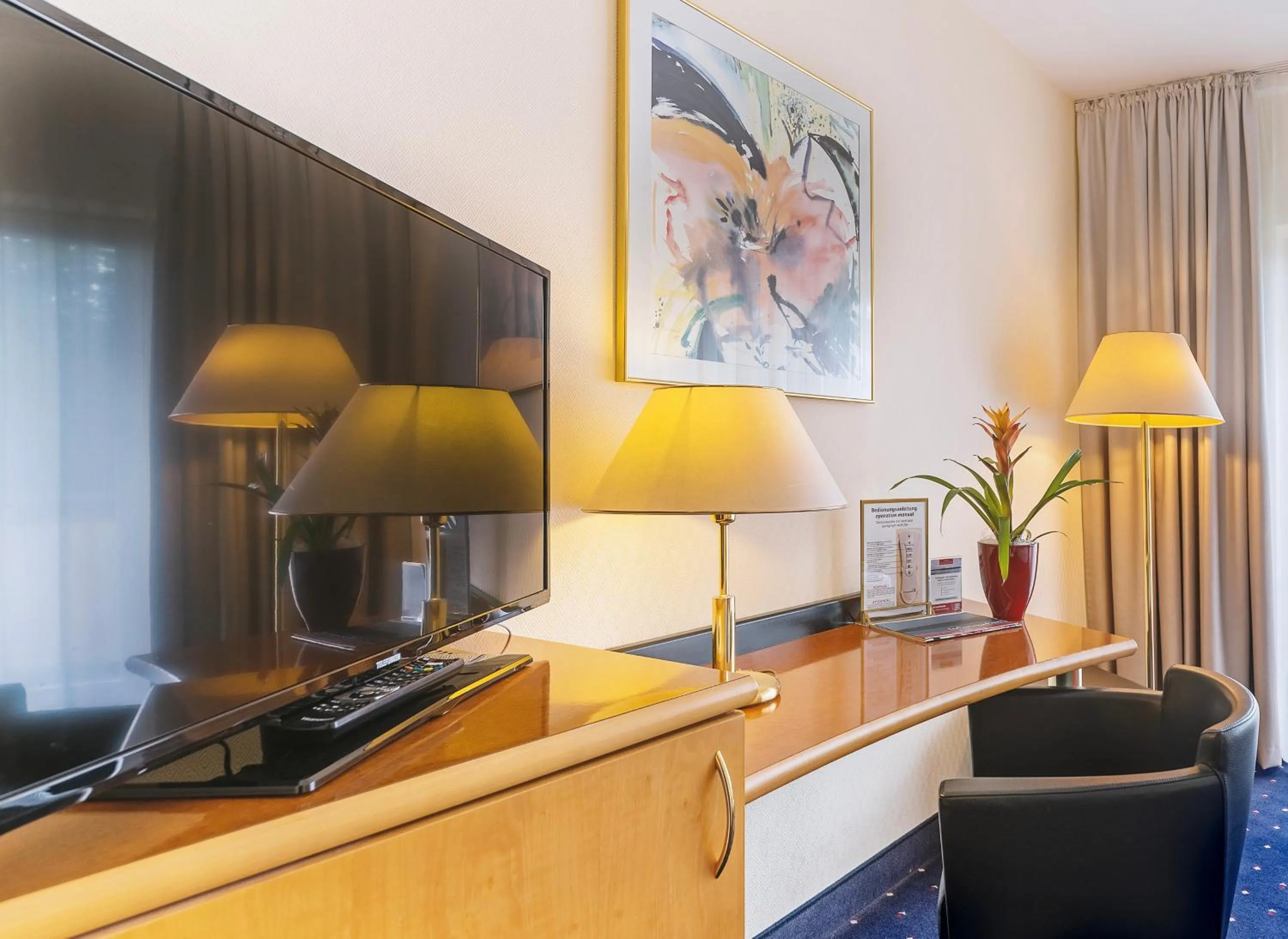 TV and multimedia in Hotel am Stadtgarten