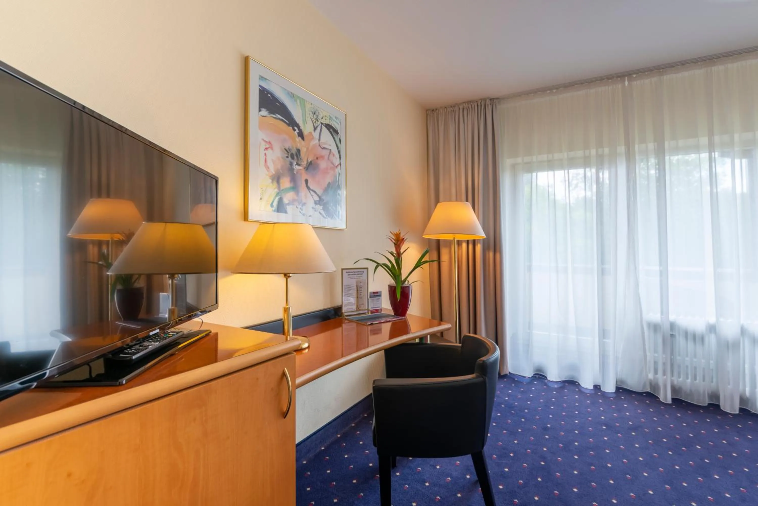 TV and multimedia in Hotel am Stadtgarten