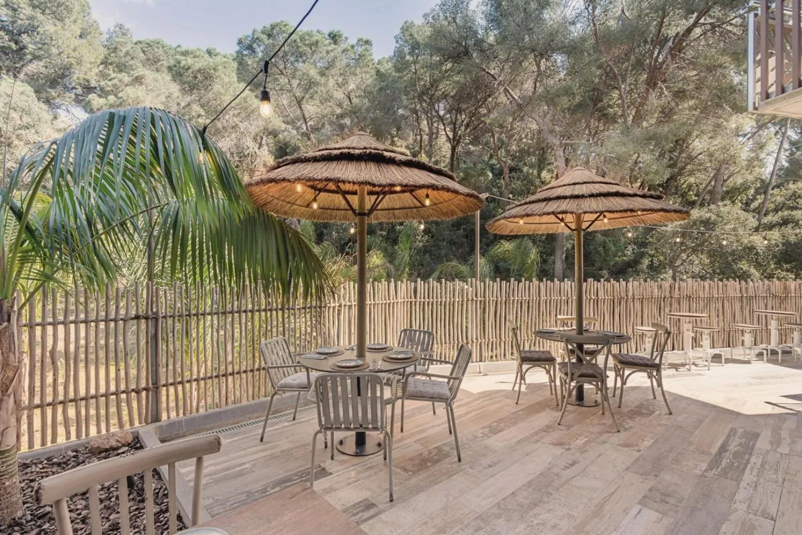 Restaurant/places to eat in Casa Coco Boutique Hotel & Spa 4*S - Adults Only