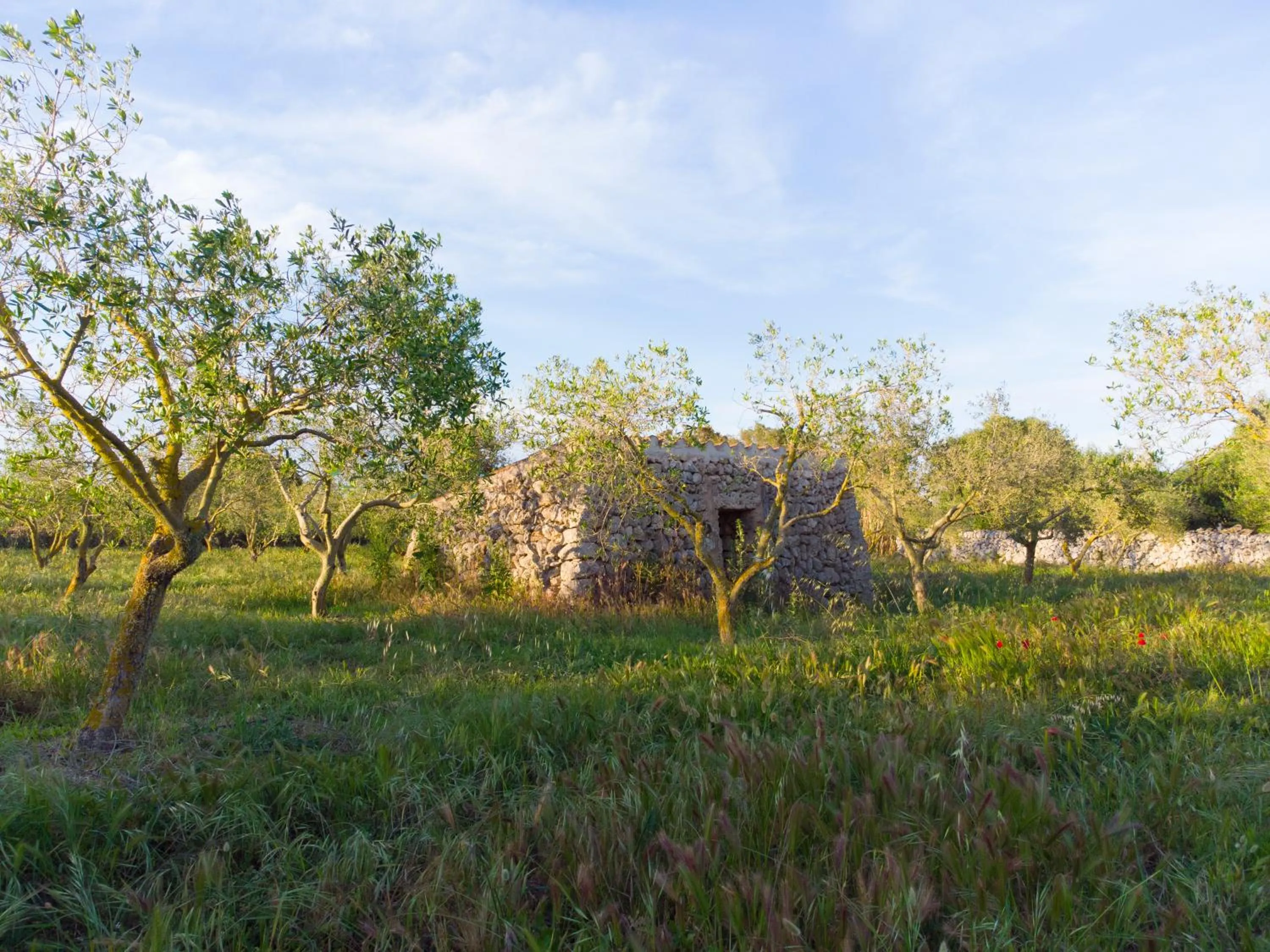 Natural landscape in Agroturismo Malbuger Nou Menorca -Adults only-