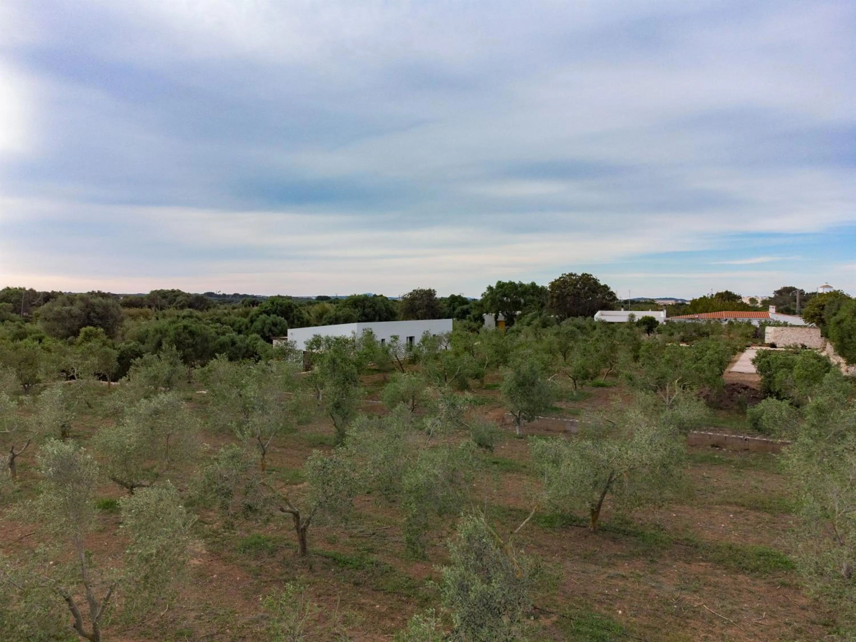 Natural landscape in Agroturismo Malbuger Nou Menorca -Adults only-