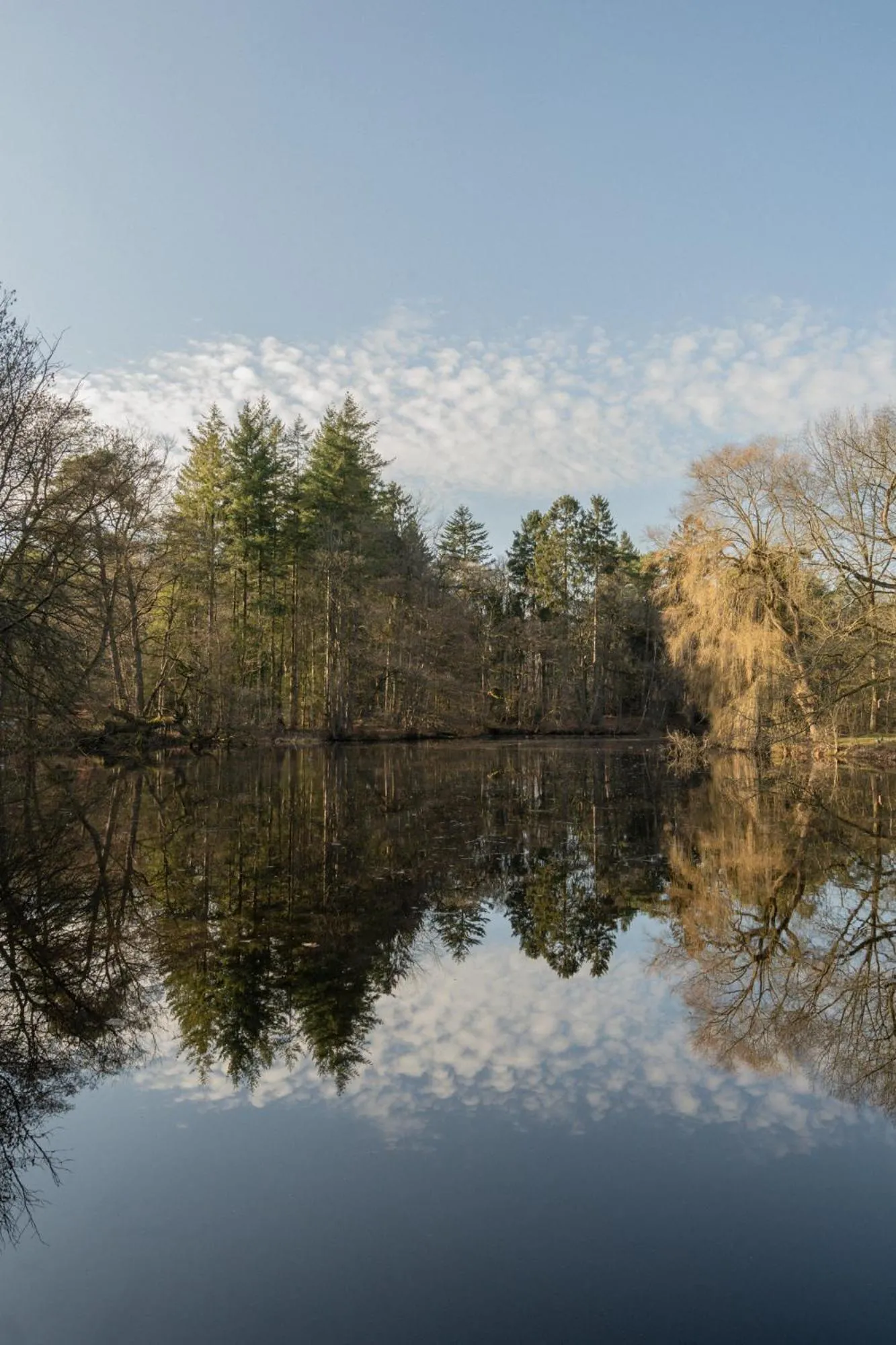 Lake view in Klostermühle
