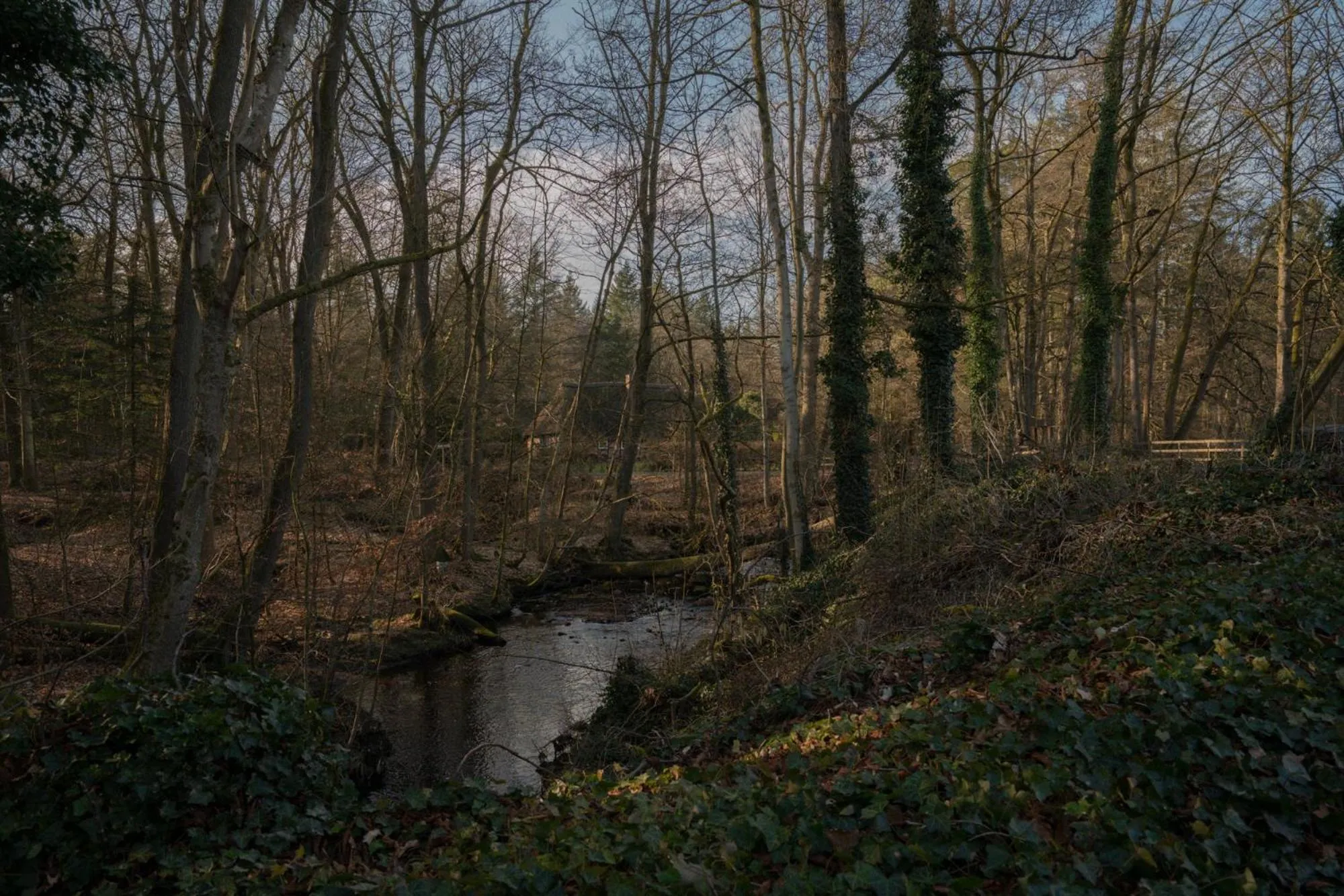 Area and facilities in Klostermühle