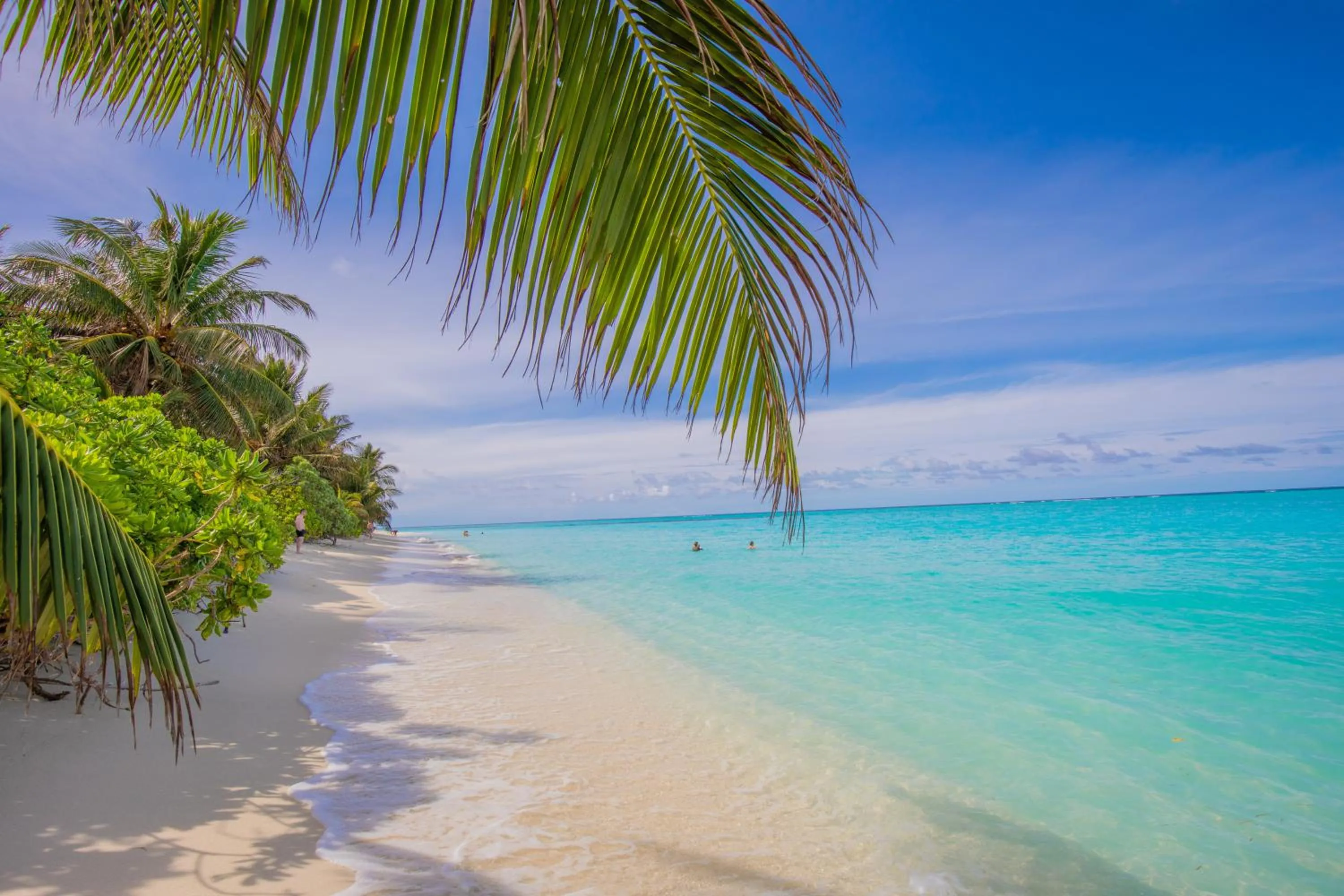 Natural landscape in Jeym Lodge