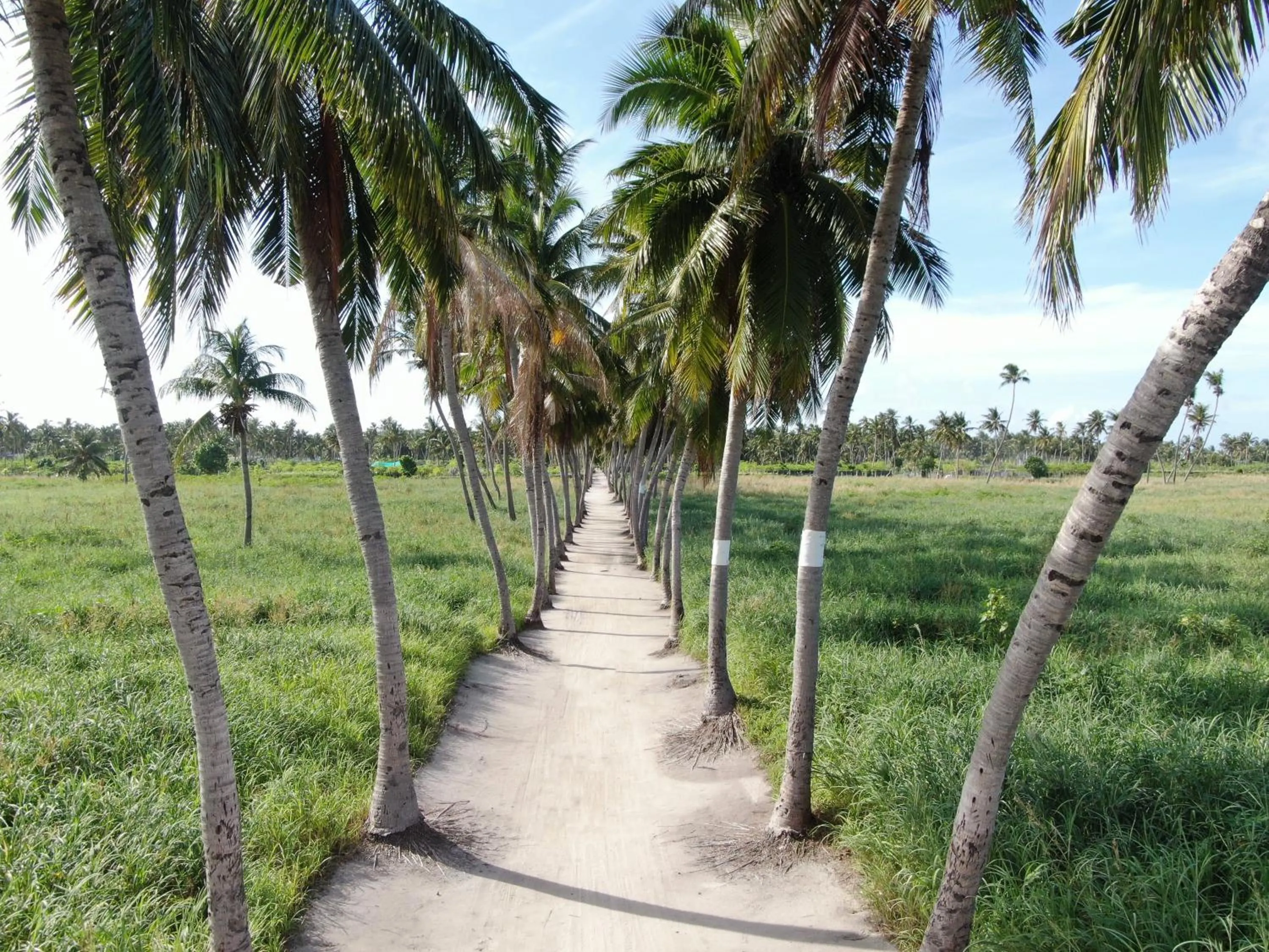 Garden in Jeym Lodge