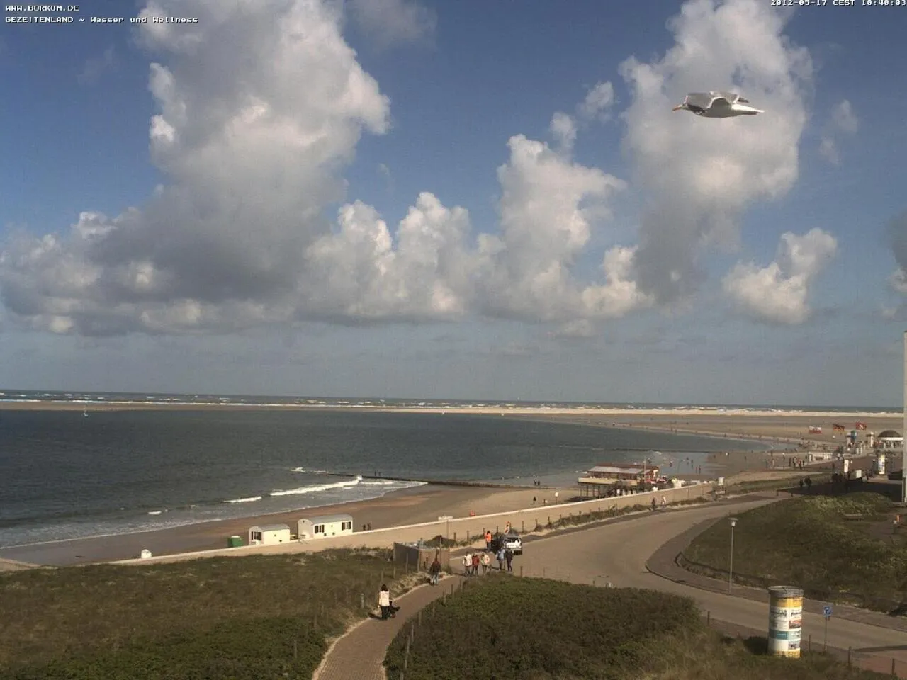Area and facilities in Hotel Strandvilla Janine
