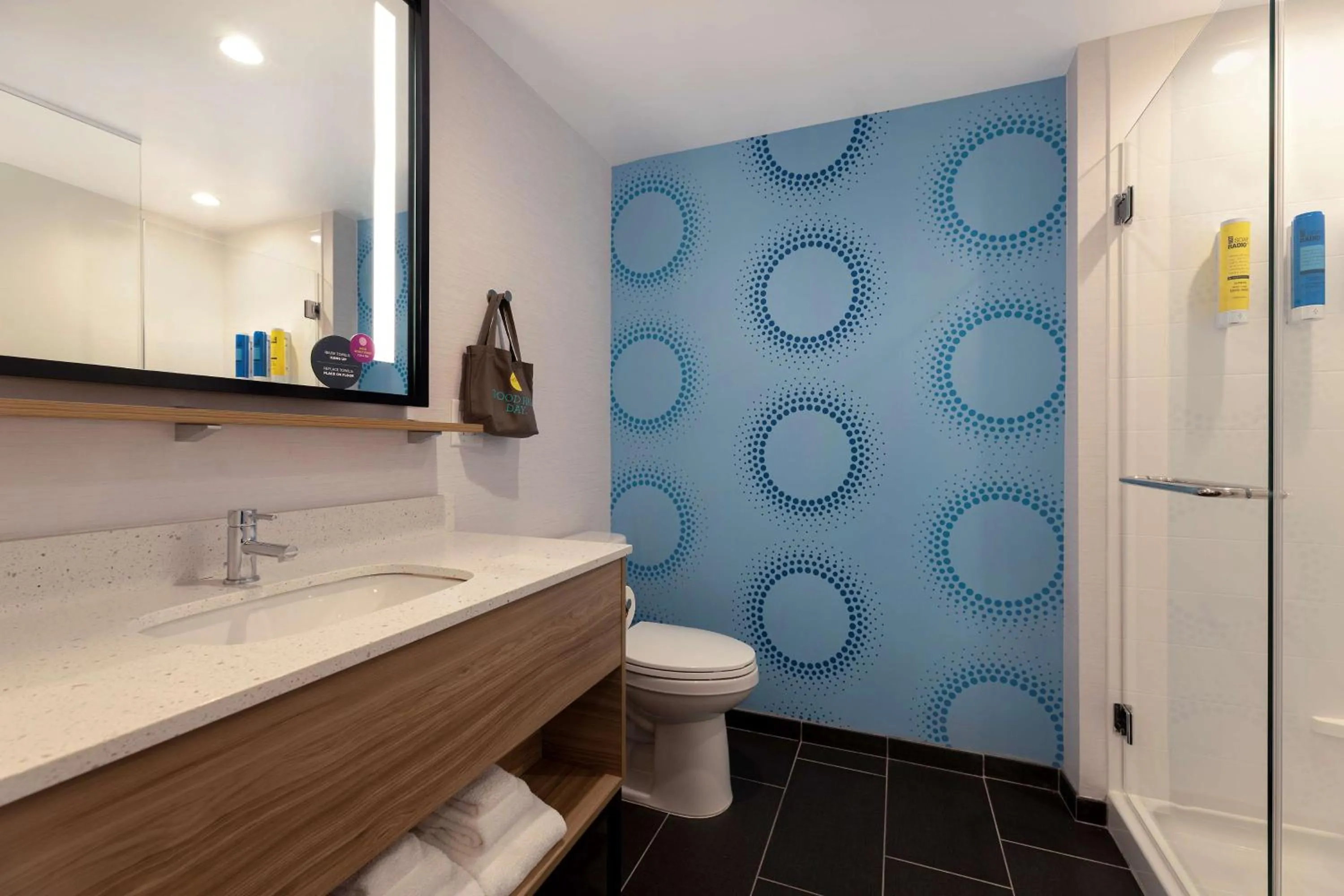 Bathroom in Tru By Hilton Atlanta Galleria Ballpark, GA