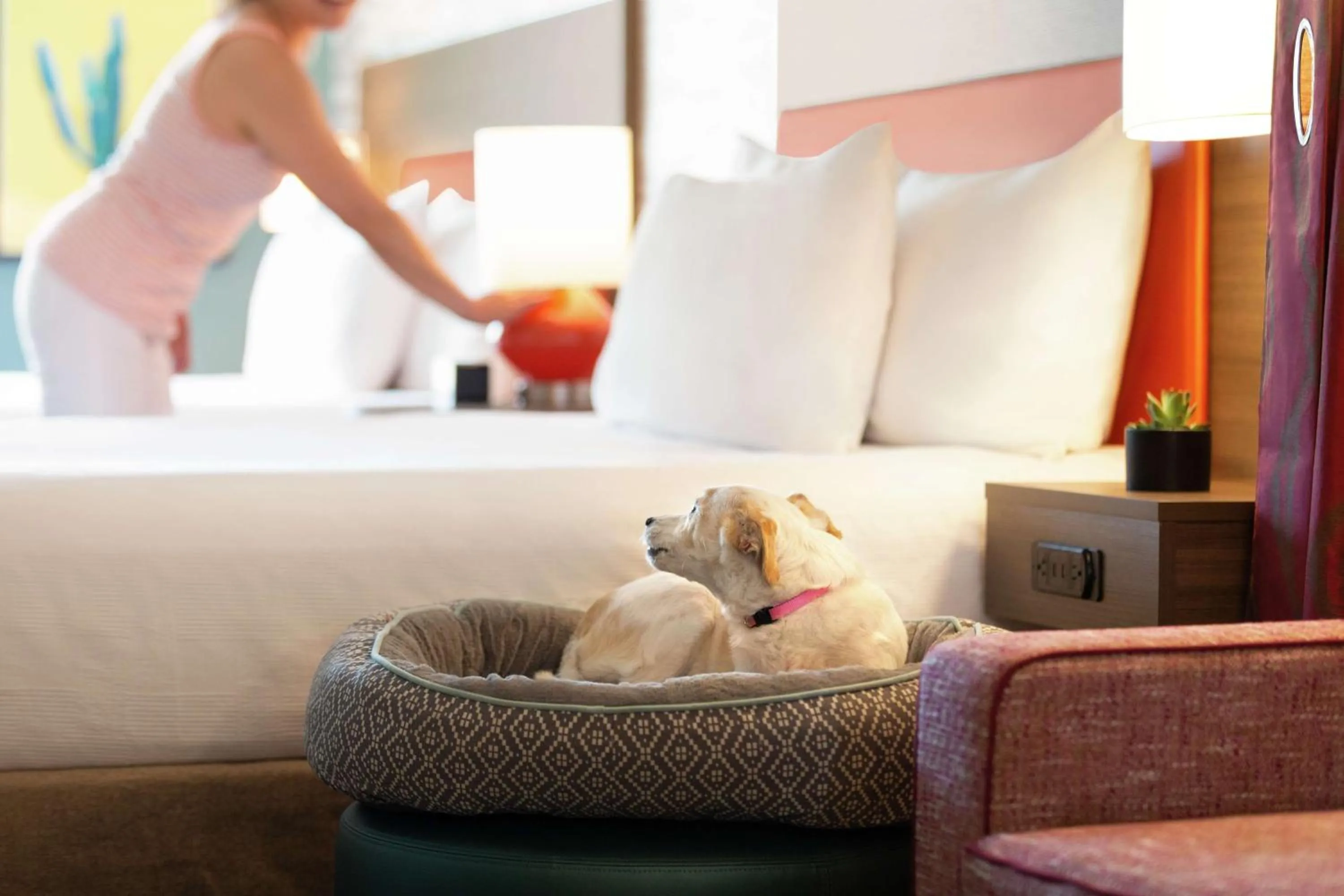 Photo of the whole room in Home2 Suites By Hilton Mesa Longbow, Az