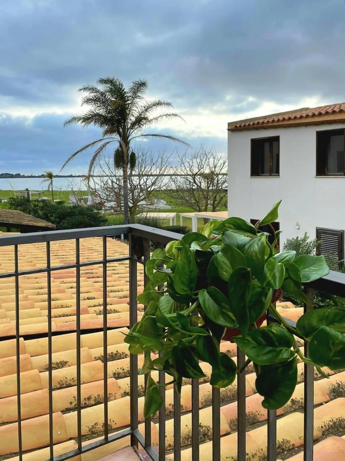 Alice Kite Resort
