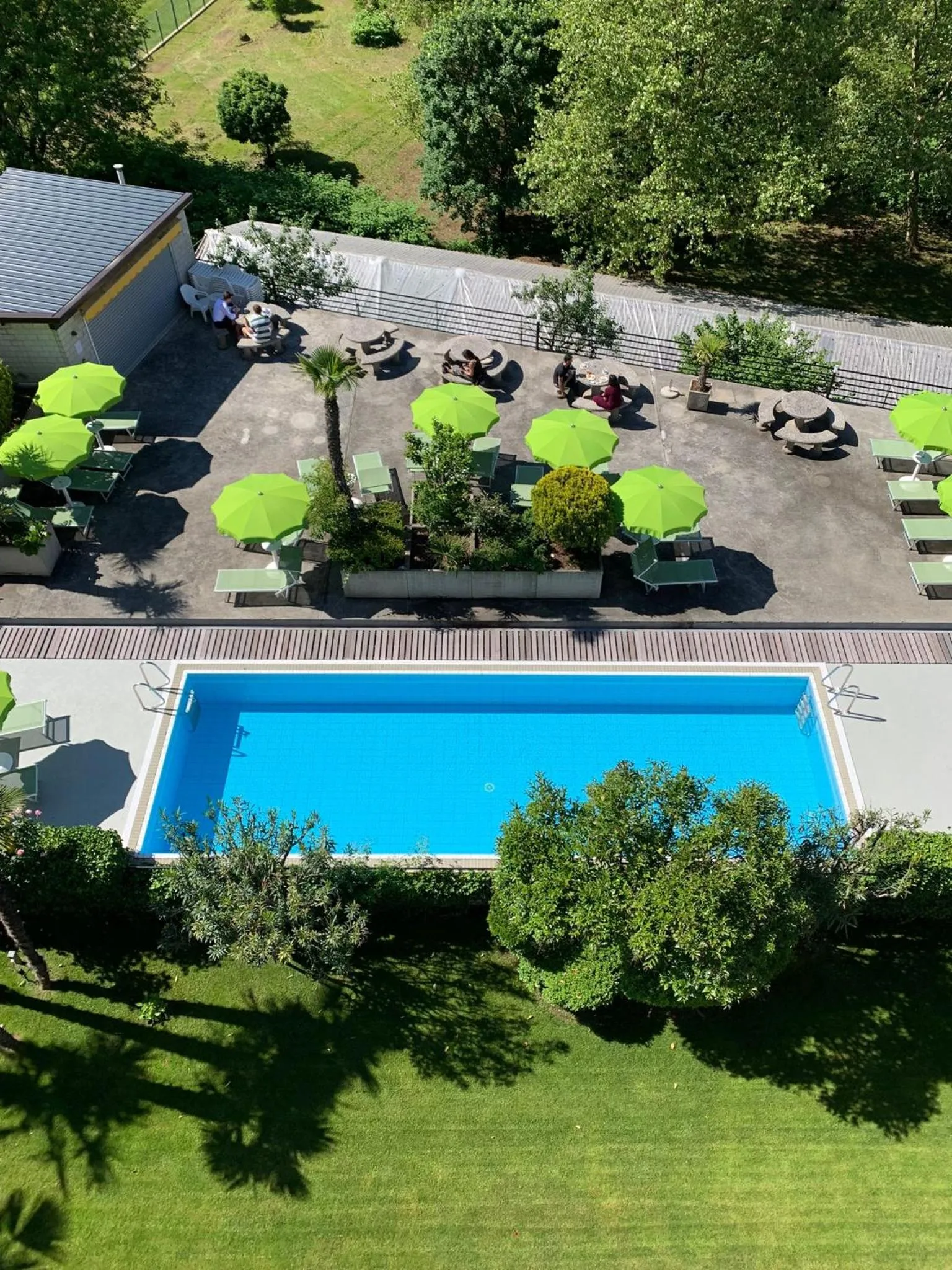 Garden in Hotel Nessi Locarno