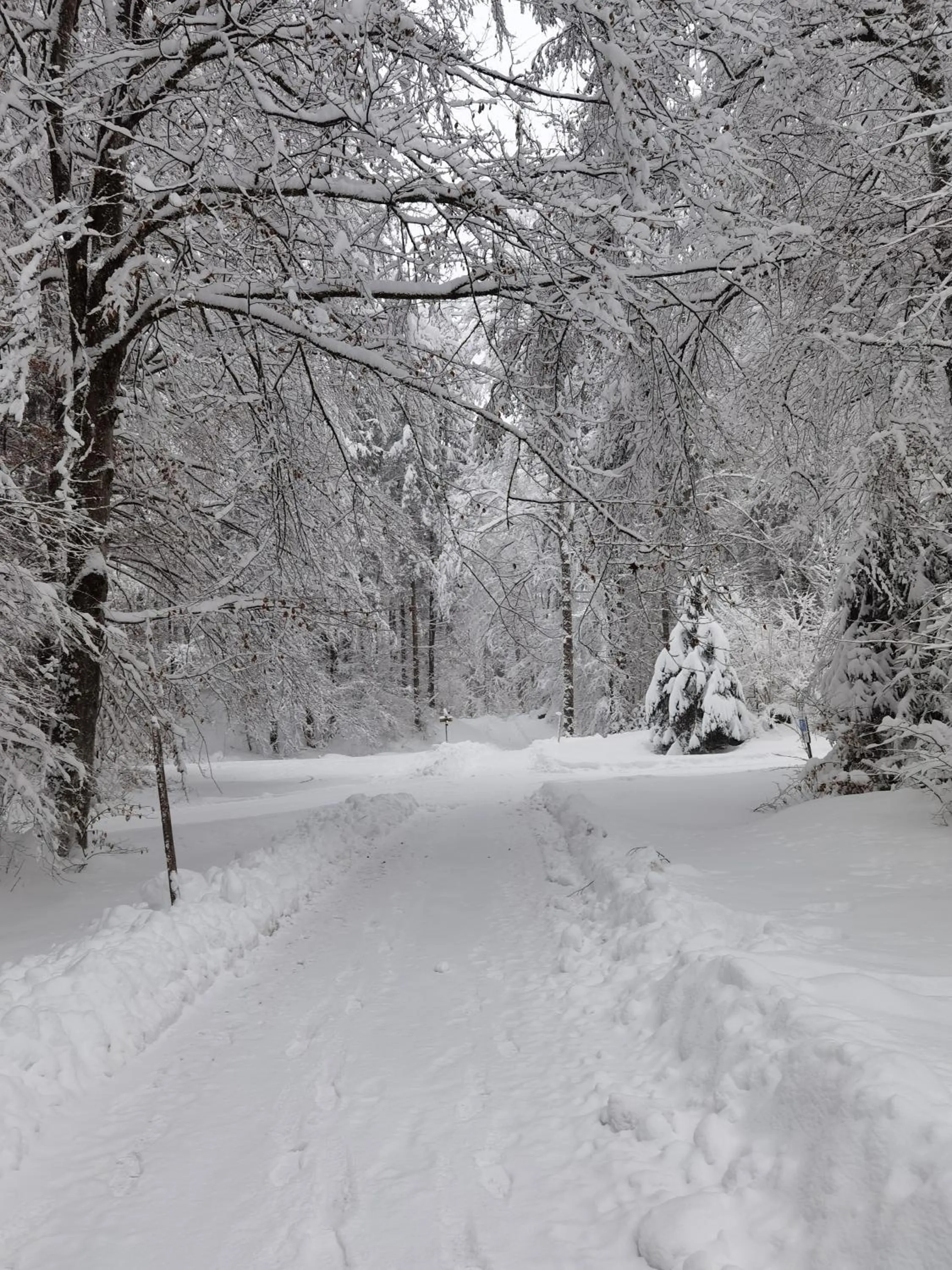 Winter in Berghotel Hammersbach, Sure Hotel Collection by Best Western