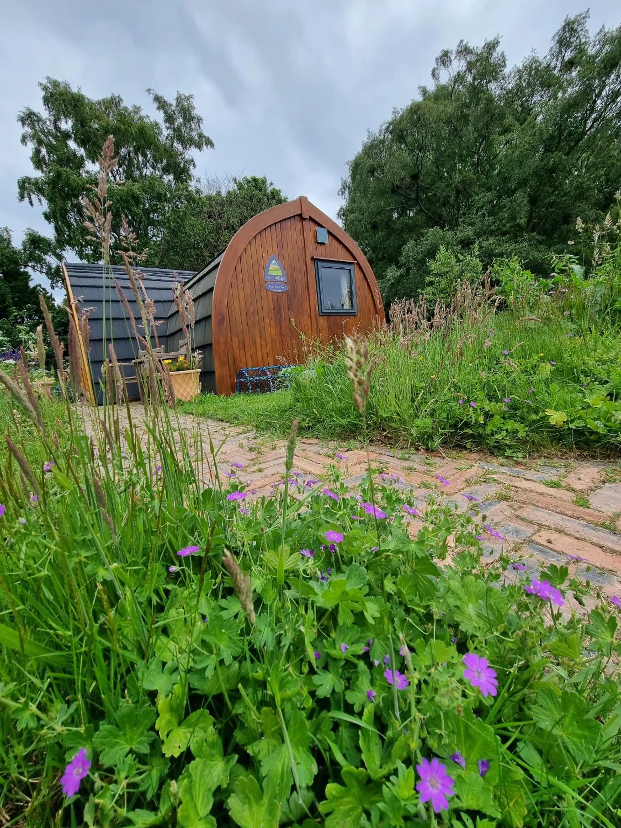 Property building in Eco Indigo