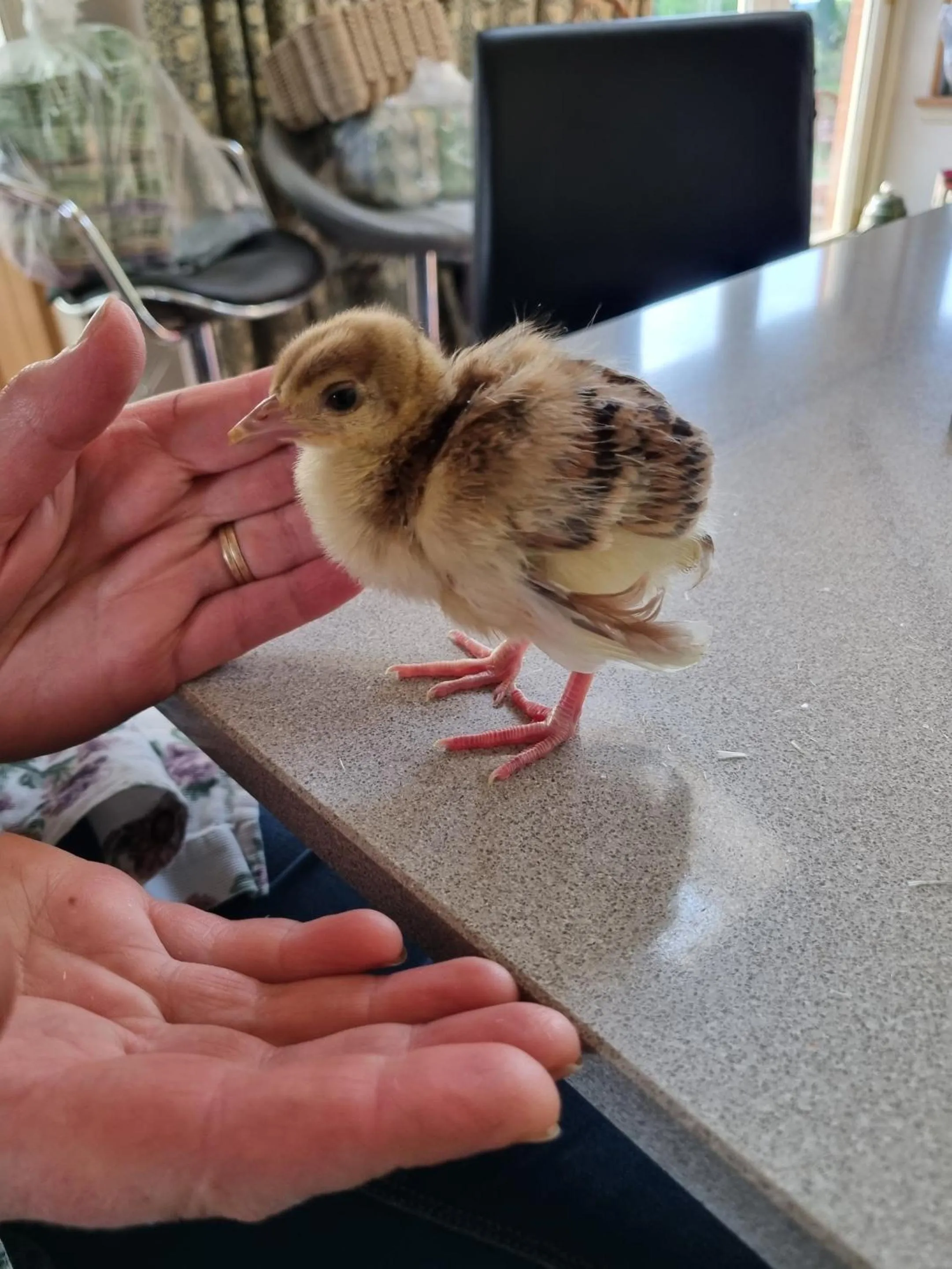 Natural landscape in Eco Indigo