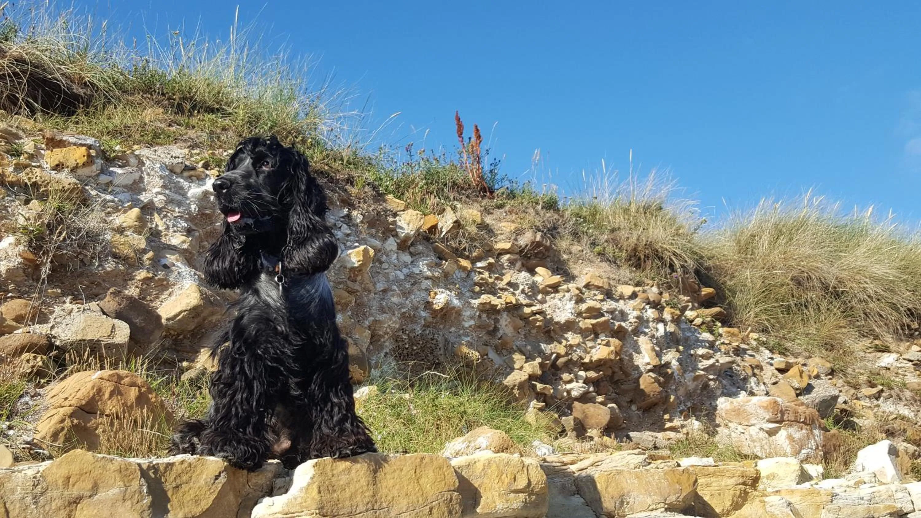 Neighbourhood in Eco Indigo