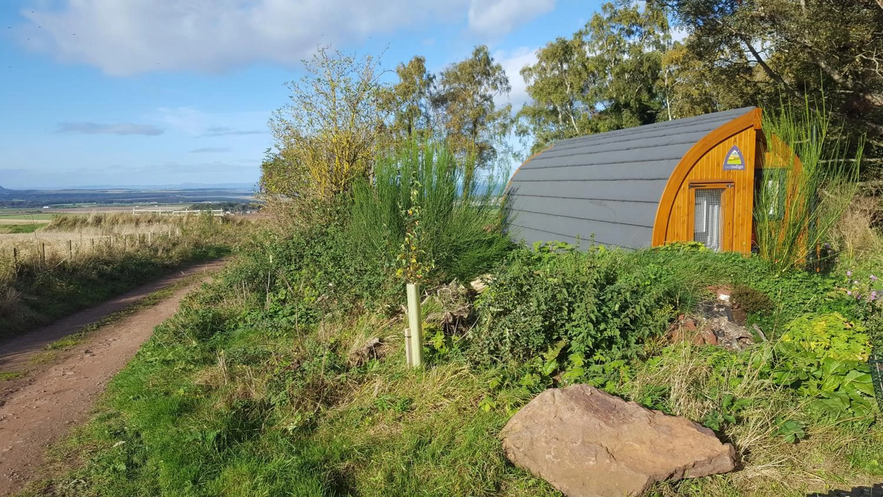 Property building in Eco Indigo